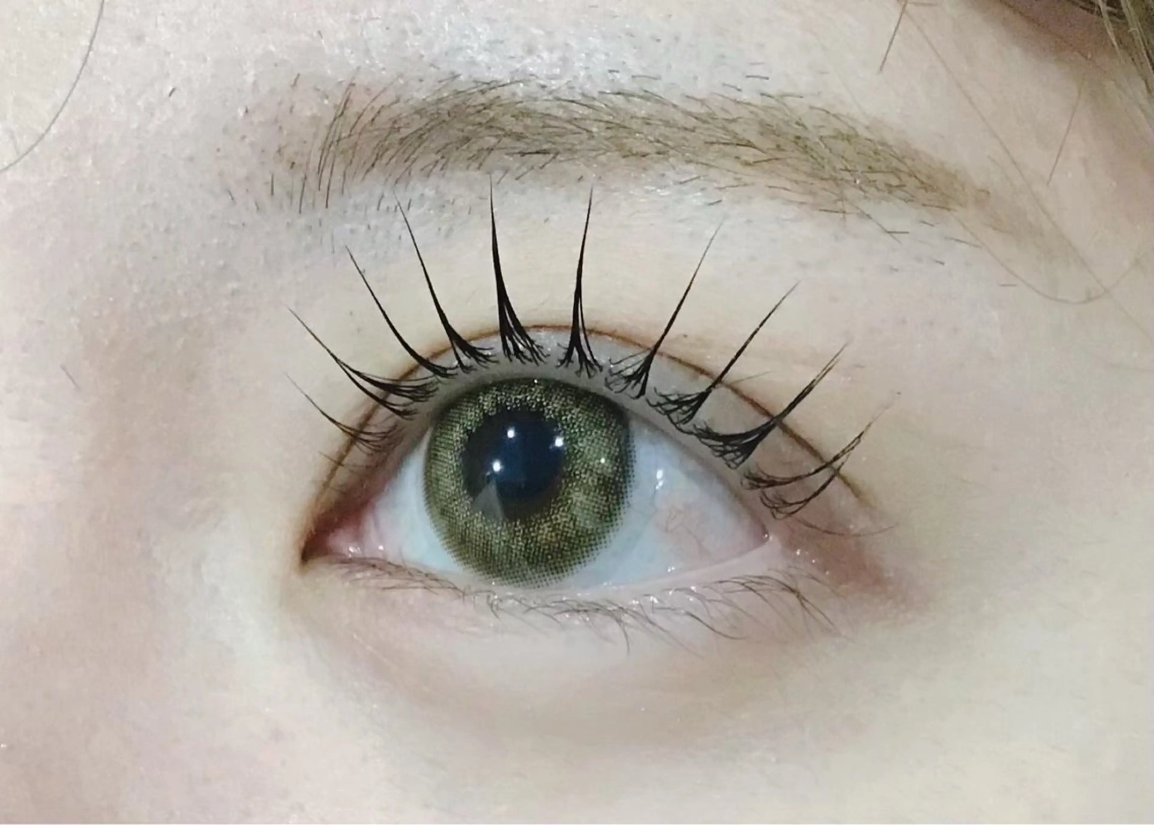 1/7のご来店限定♪限定価格♪パリジェンヌ4000円の写真