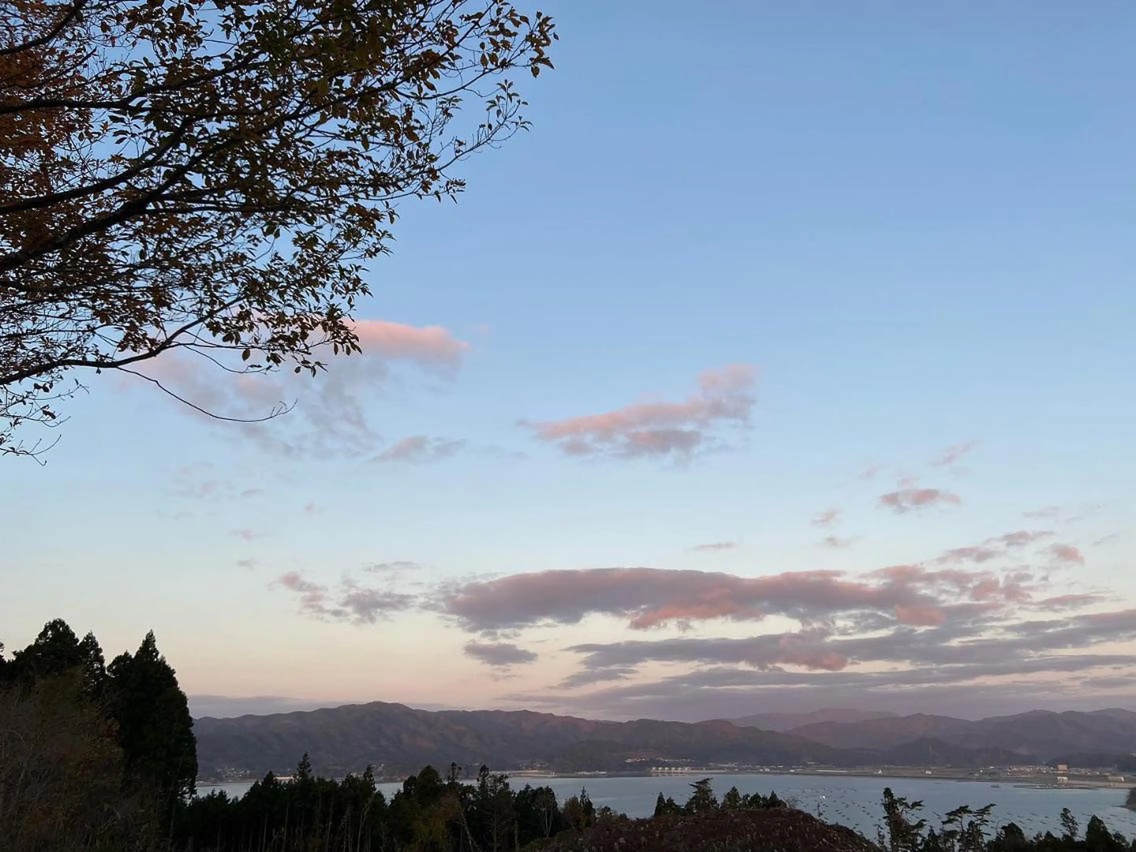 ショート カラー パーマ メンズ ケアカラー エクステ 髪質改善 トリートメント 🫧sara荒井店 樹🫧のヘアスタイル