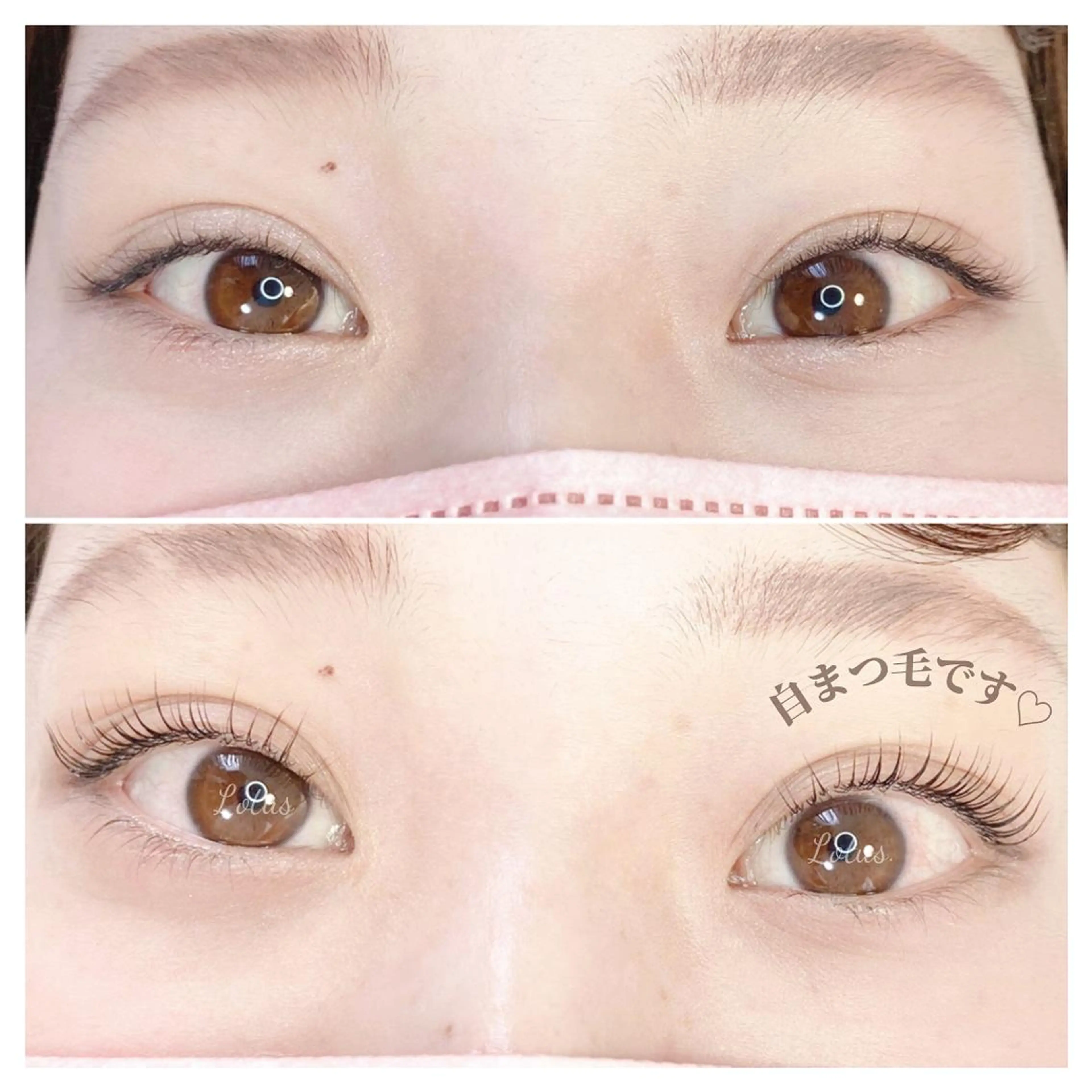 マツエク・マツパ 一重×まつ毛パーマ マツパ Lotus所属・Lotus ロータスのマツエク・マツパデザイン