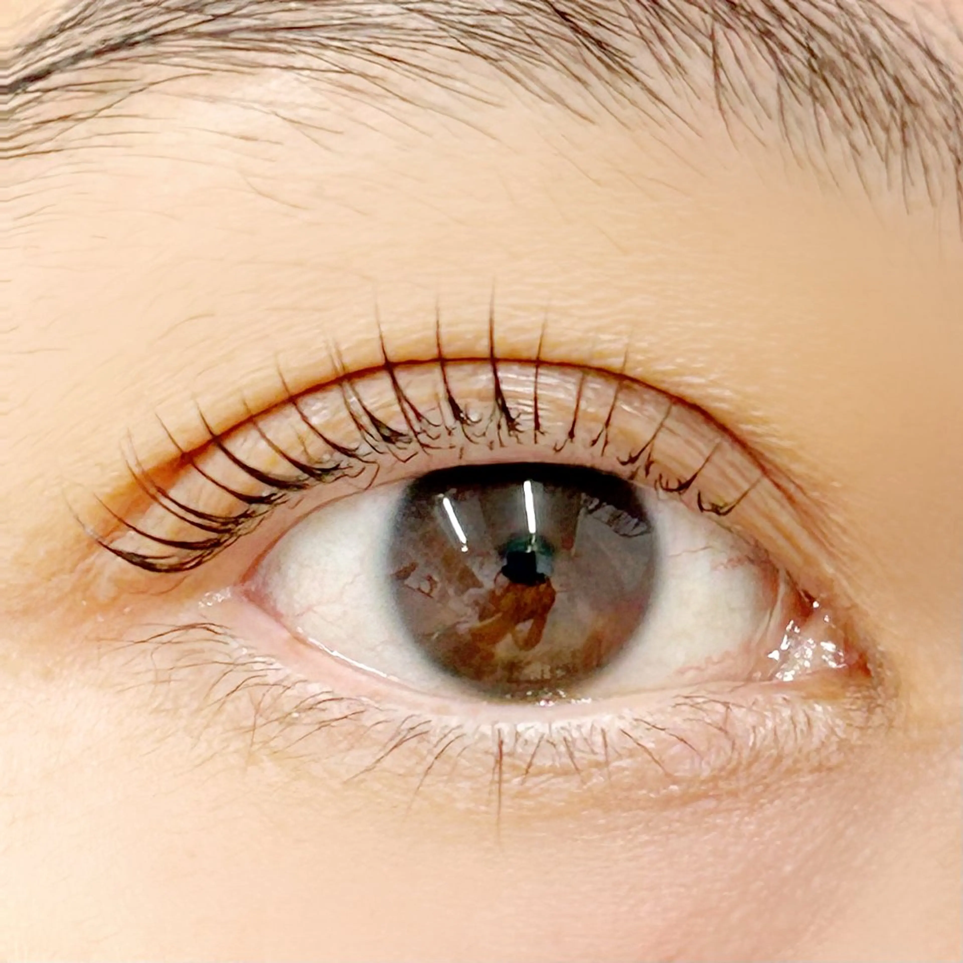 マツエク・マツパ パリジェンヌラッシュリフト 一重×まつ毛パーマ BellFlower Aki（眉・まつげ）のマツエク・マツパデザイン