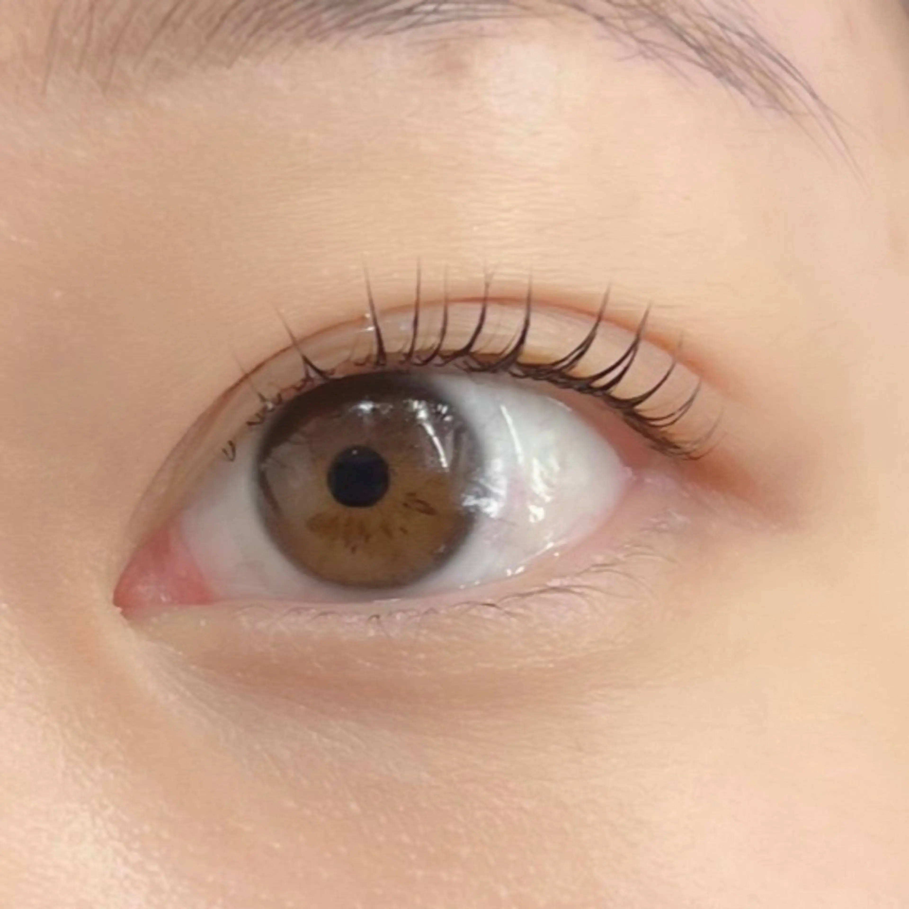 マツエク・マツパ Moe/韓国風/ 束感/キュート❤︎のマツエク・マツパデザイン