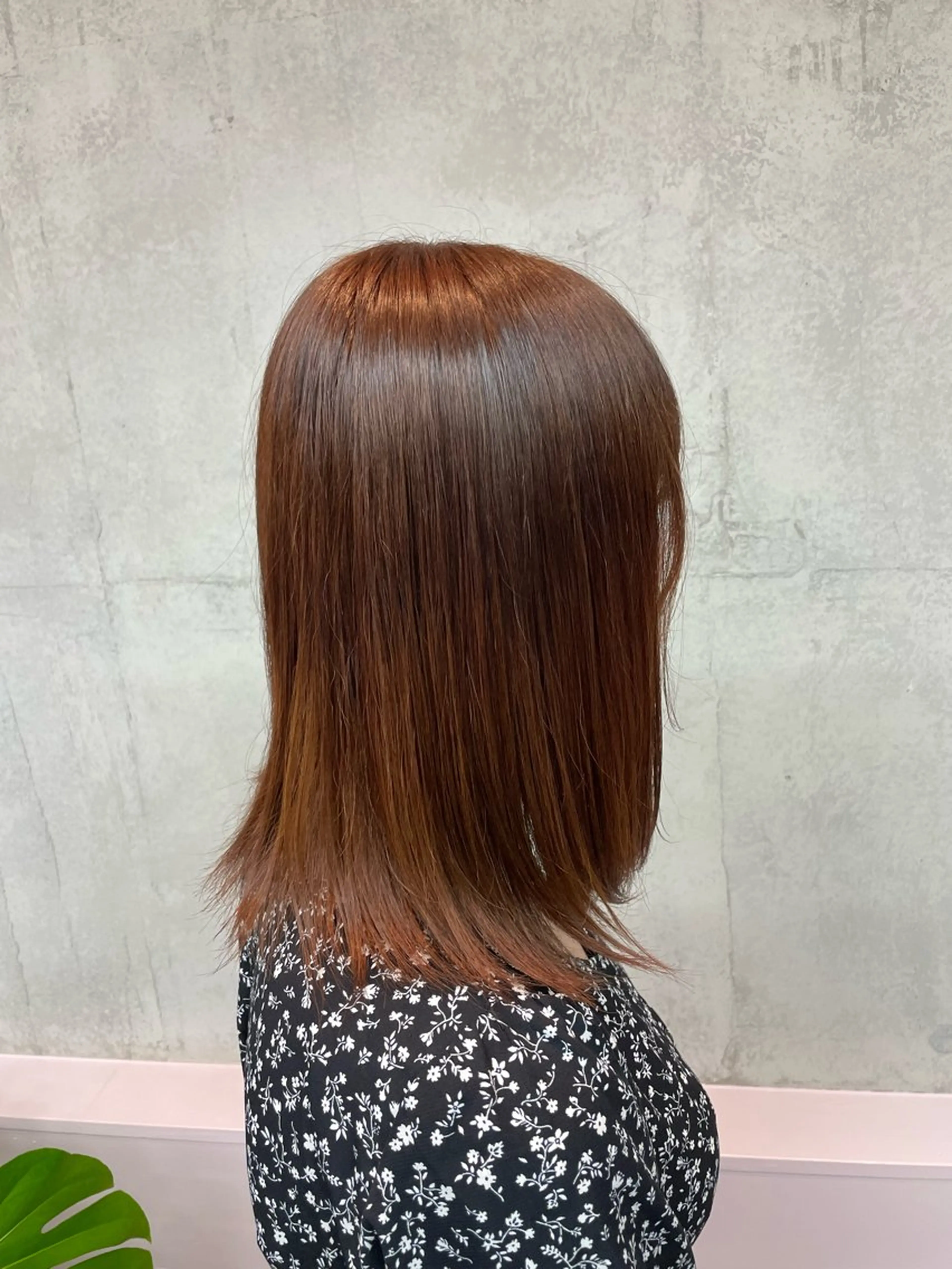 カラー 浅香 諒太のヘアスタイル