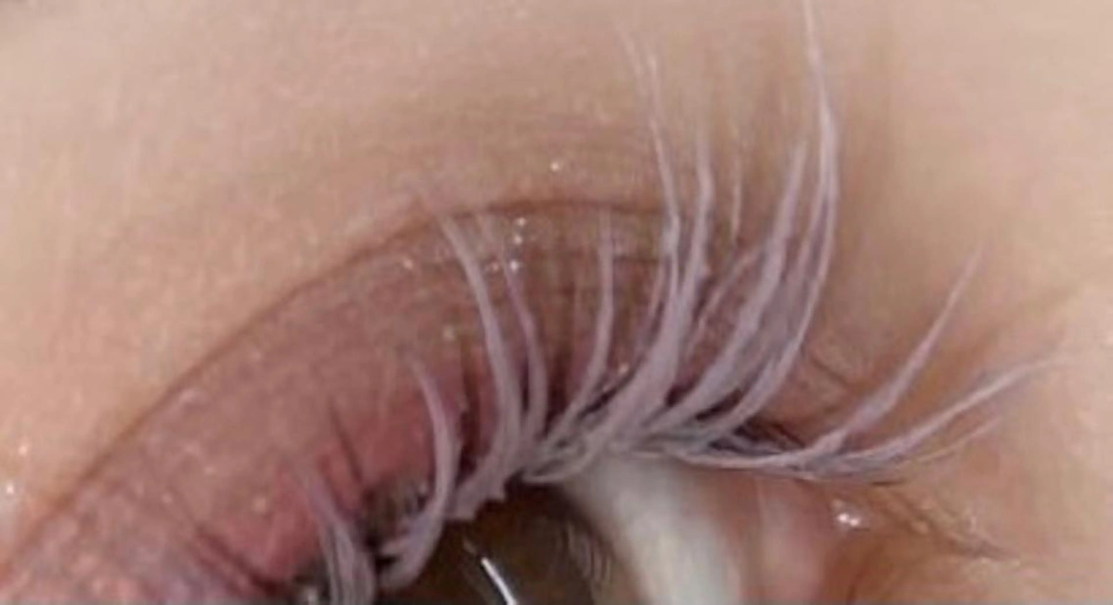 ヘアアレンジ マツエク・マツパ アイブロウ 香里園 eyelashNonのマツエク・マツパデザイン