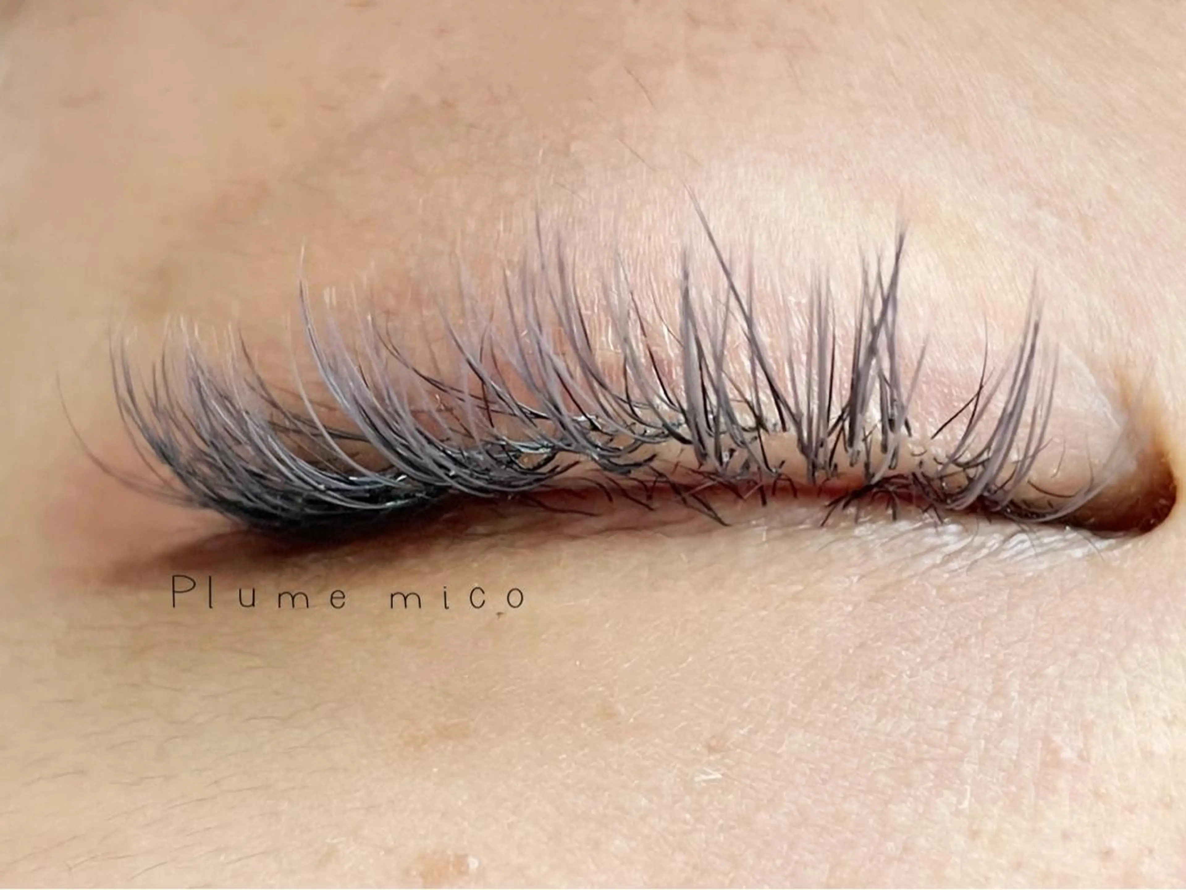 マツエク・マツパ マツエク Plume micoのマツエク・マツパデザイン