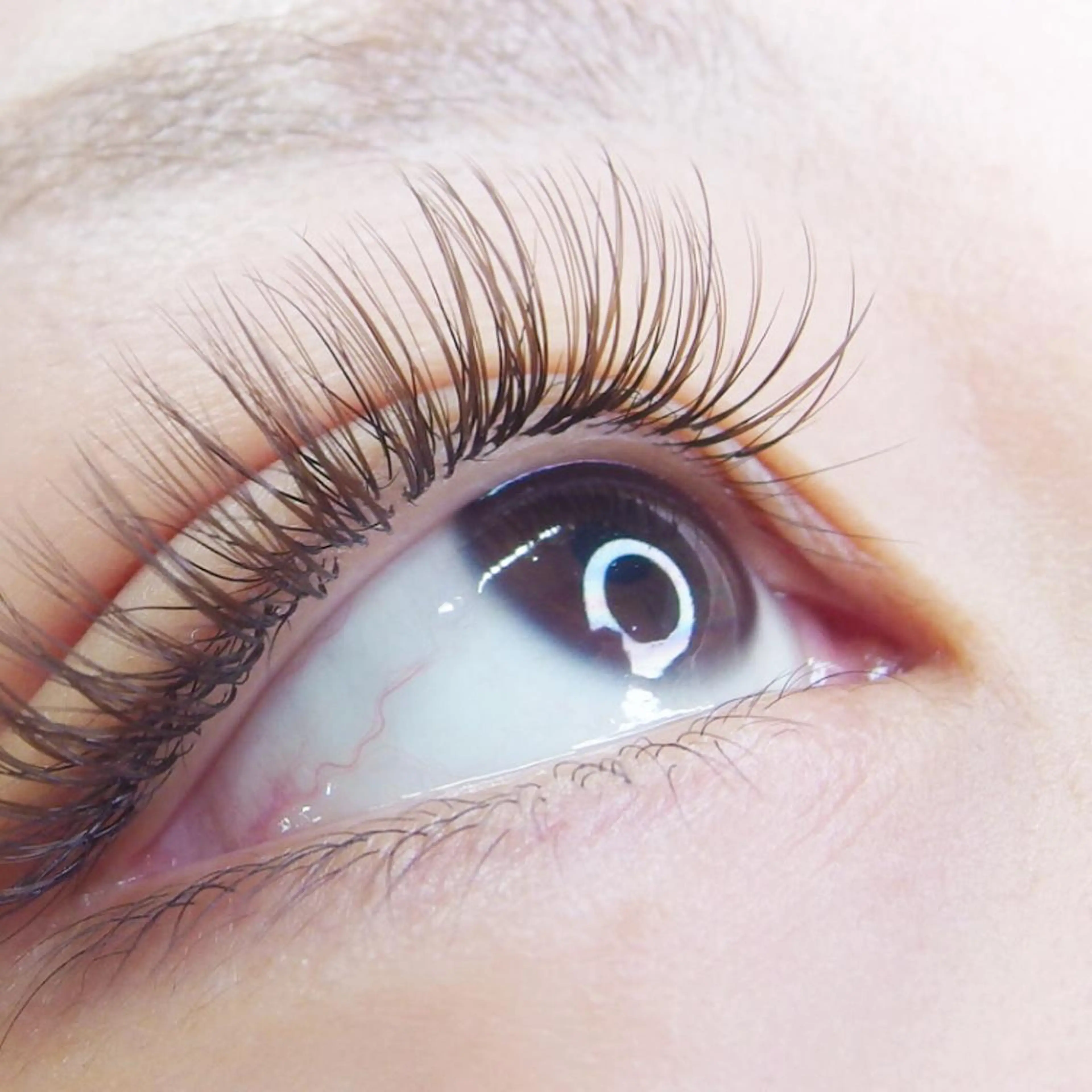 マツエク・マツパ miel eyelashのマツエク・マツパデザイン