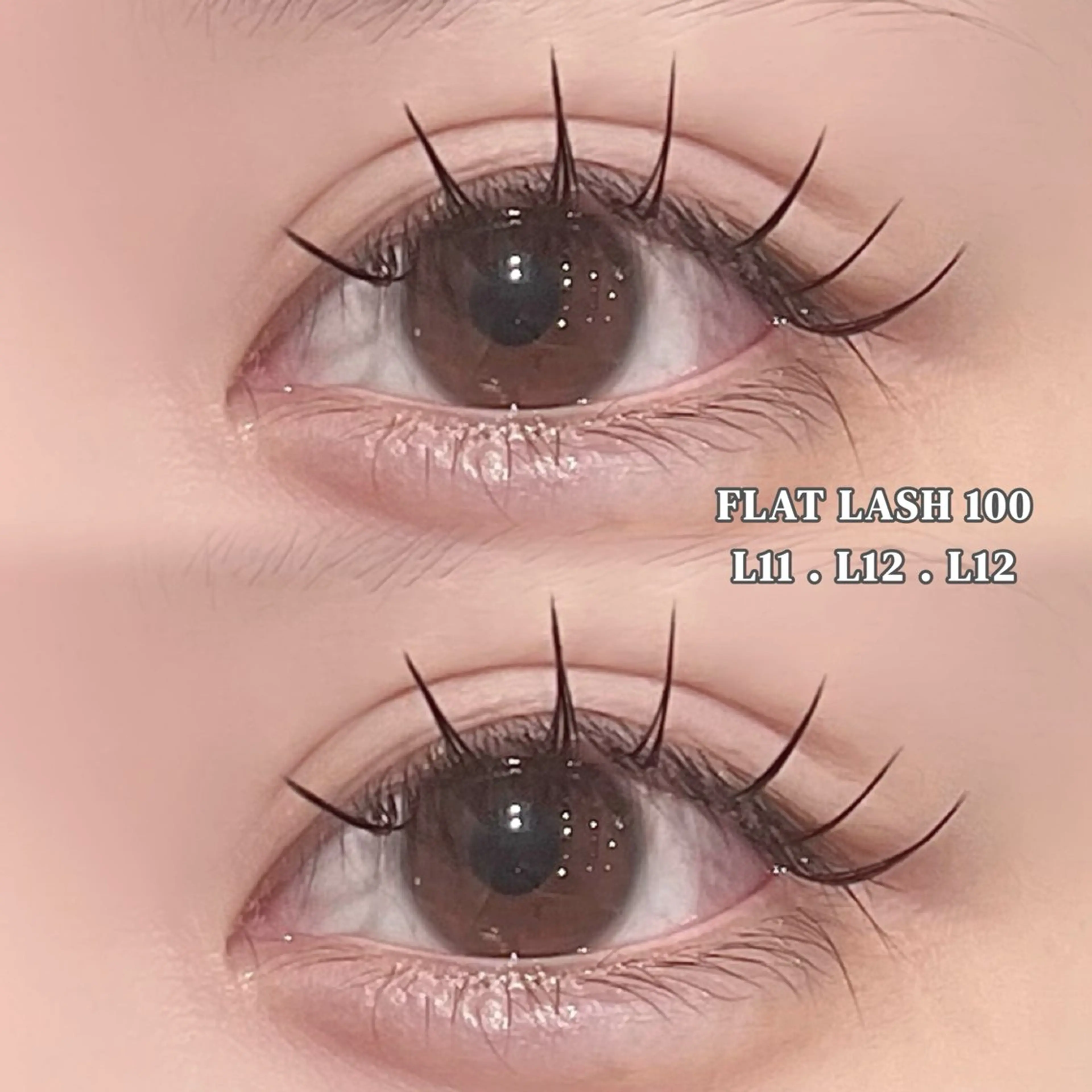 【💘本日限定特別価格💘】LEDグルー付💡ぱっちりLカール フラットラッシュ60本・80本・100本の写真