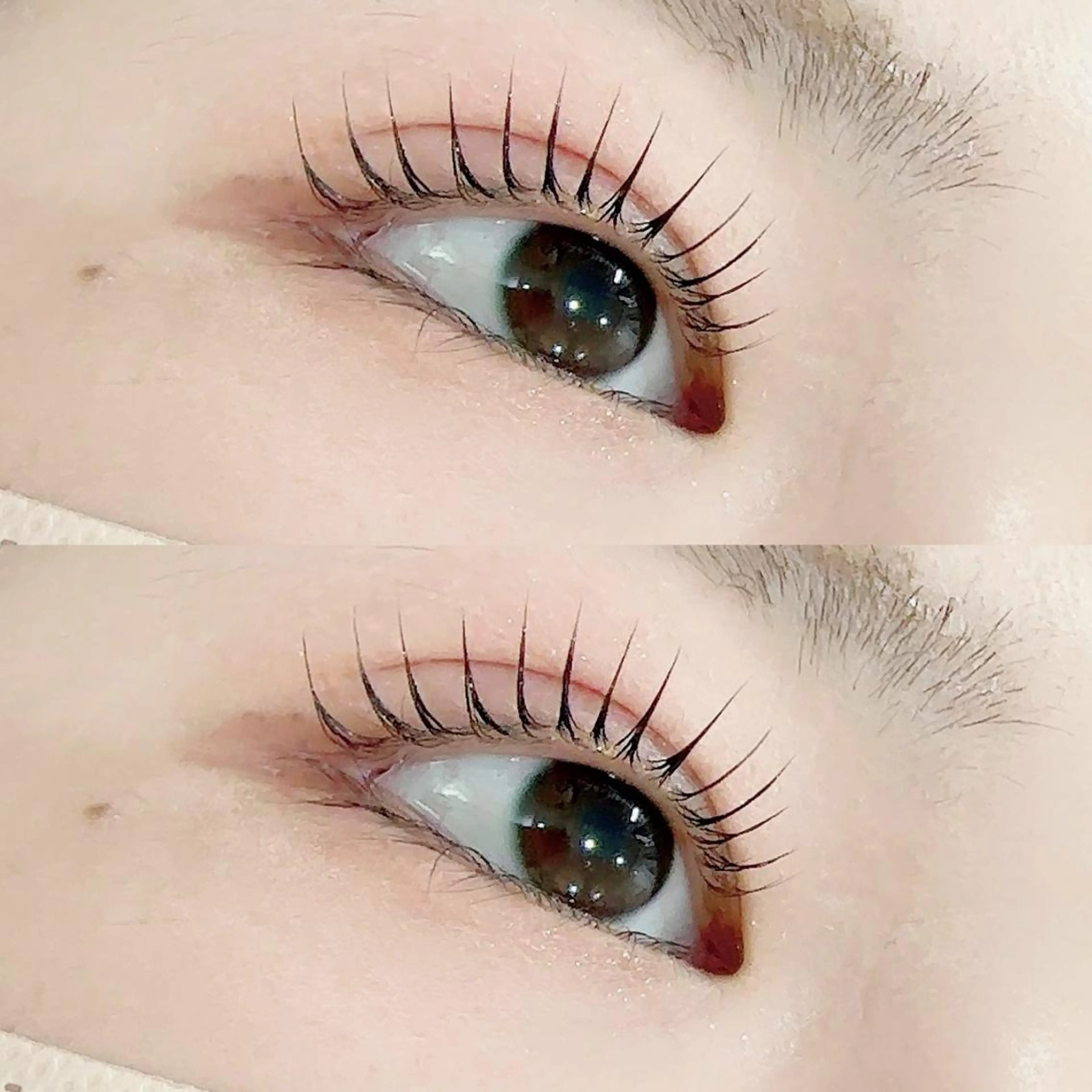 🕊パリジェンヌラッシュリフト🕊コーティング仕上げ✨リピーター様6000円(3回まで利用可)の写真