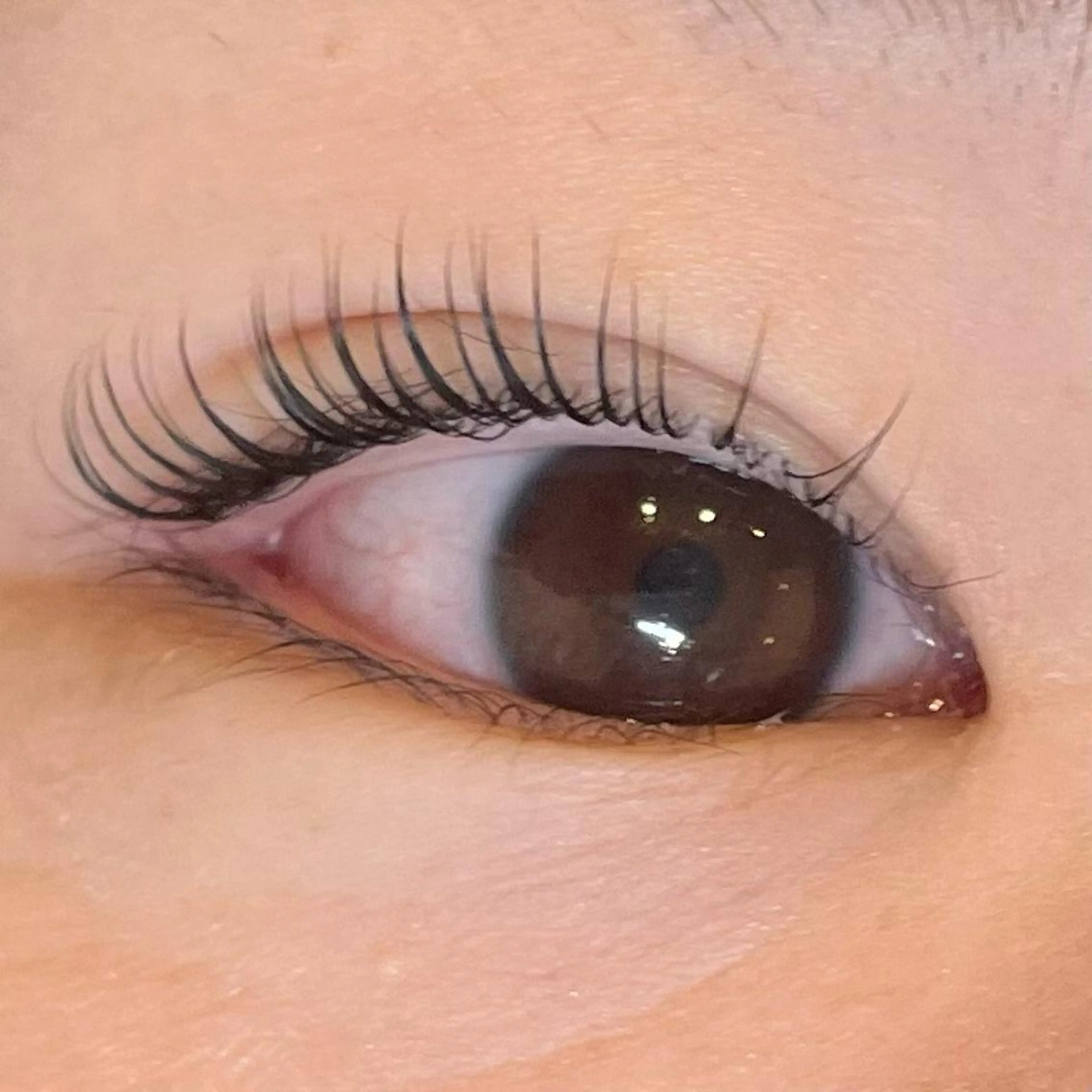 マツエク・マツパ まつげパーマ eyenico 梅田店のマツエク・マツパデザイン