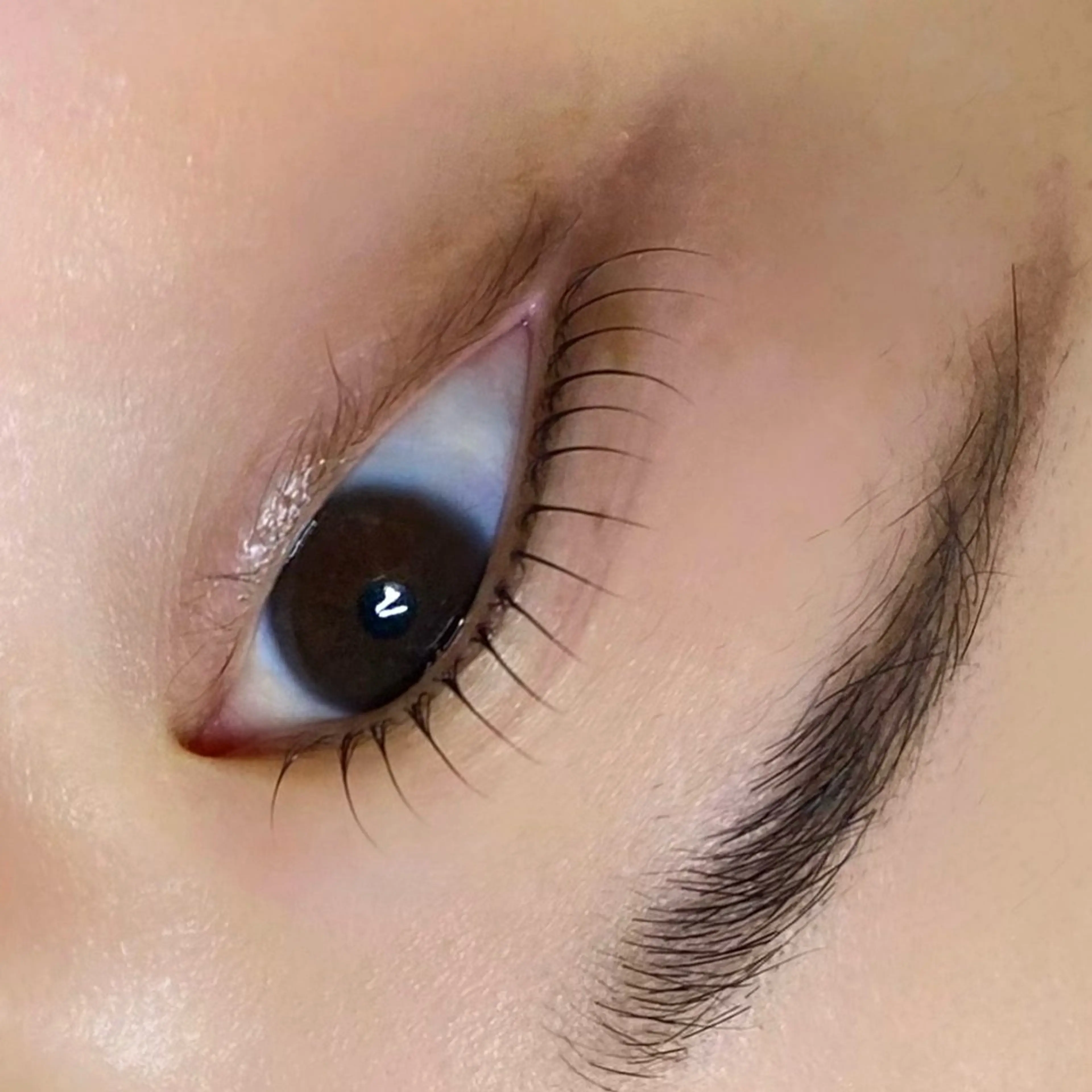 マツエク・マツパ loweli 野並所属・loweli masayoの眉毛・アイブロウイメージ