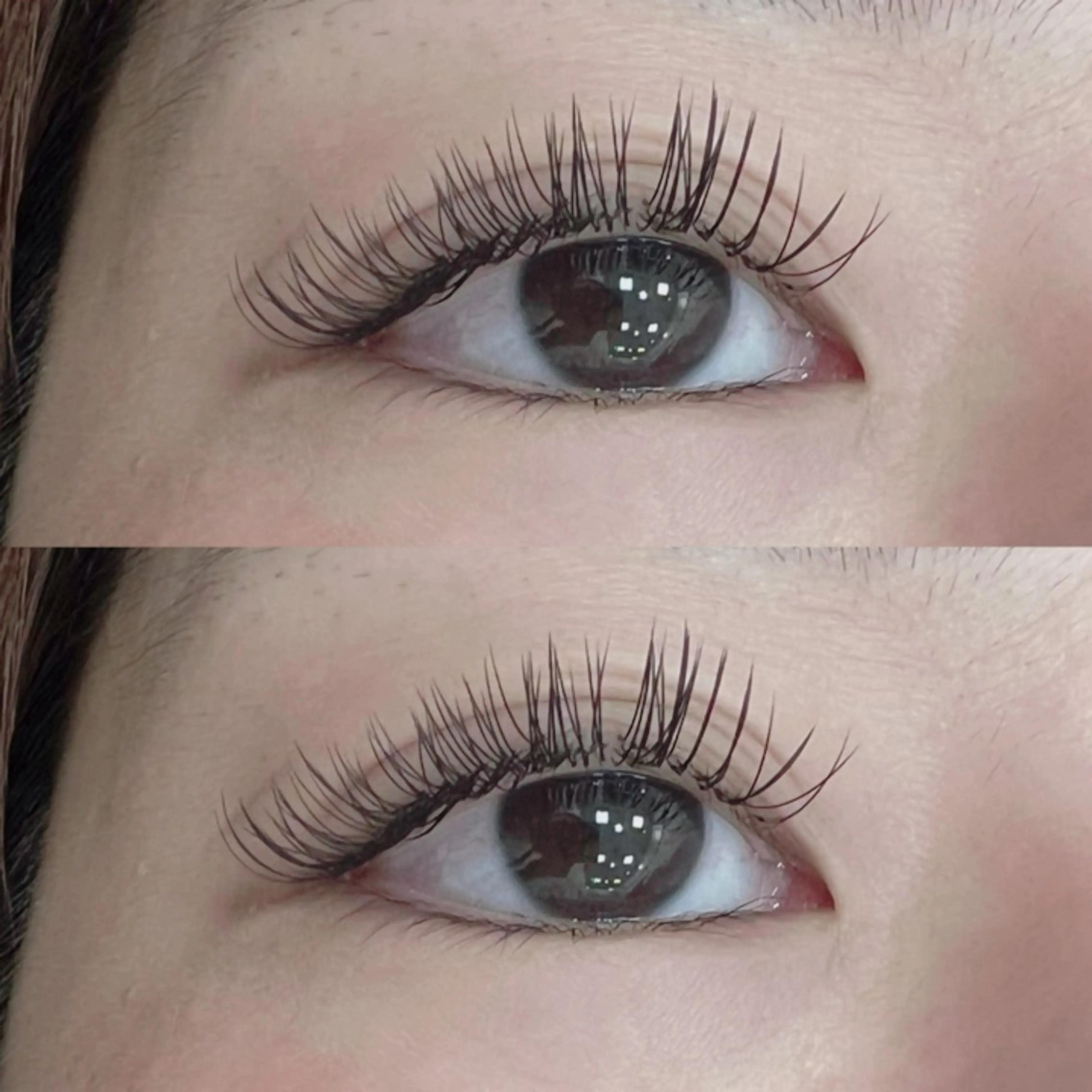 【期間限定価格】LEDフラットラッシュ140本まで+コーティング【オフ無料】の写真