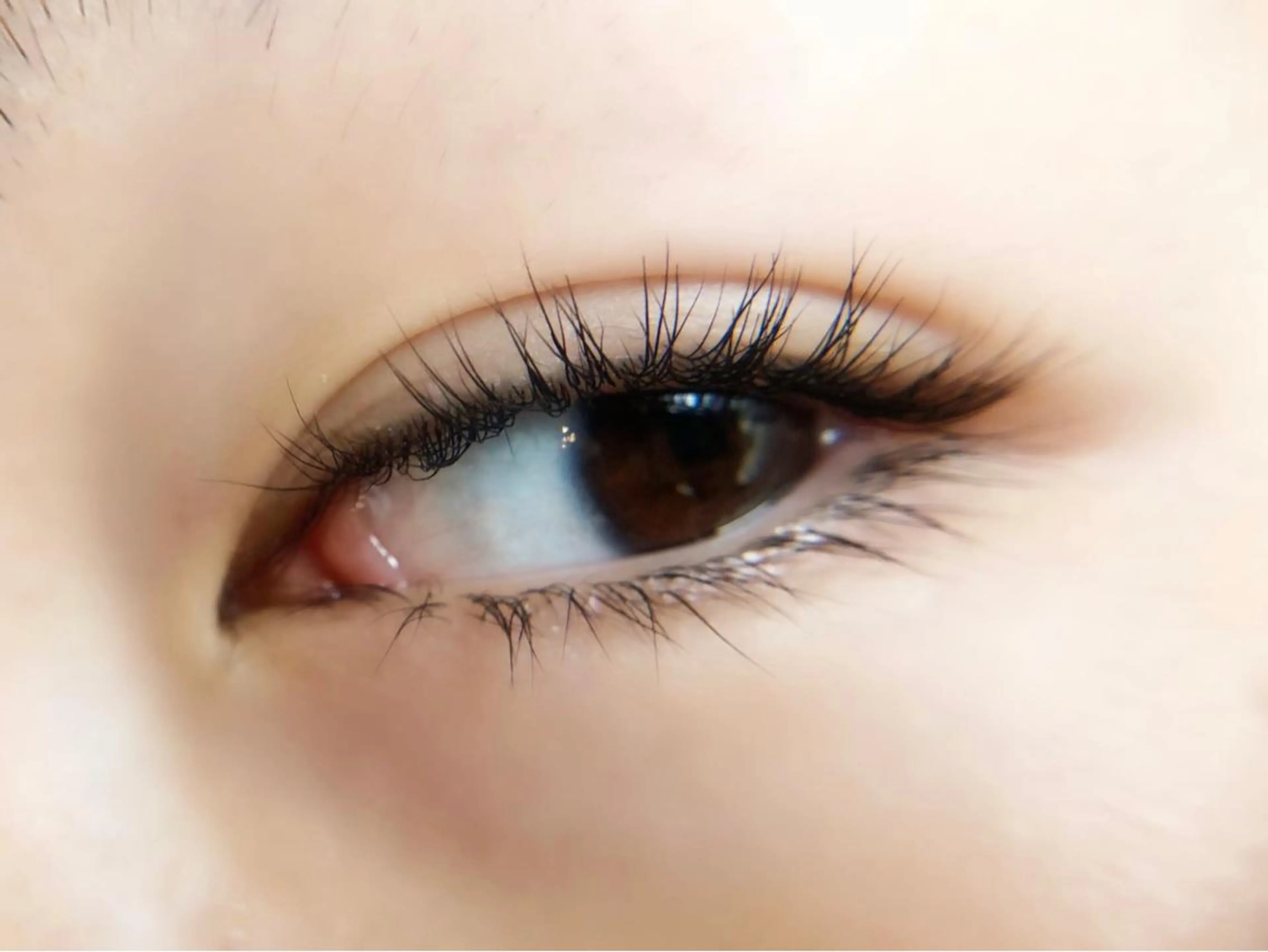 マツエク・マツパ マツパ 茂木 さえのマツエク・マツパデザイン