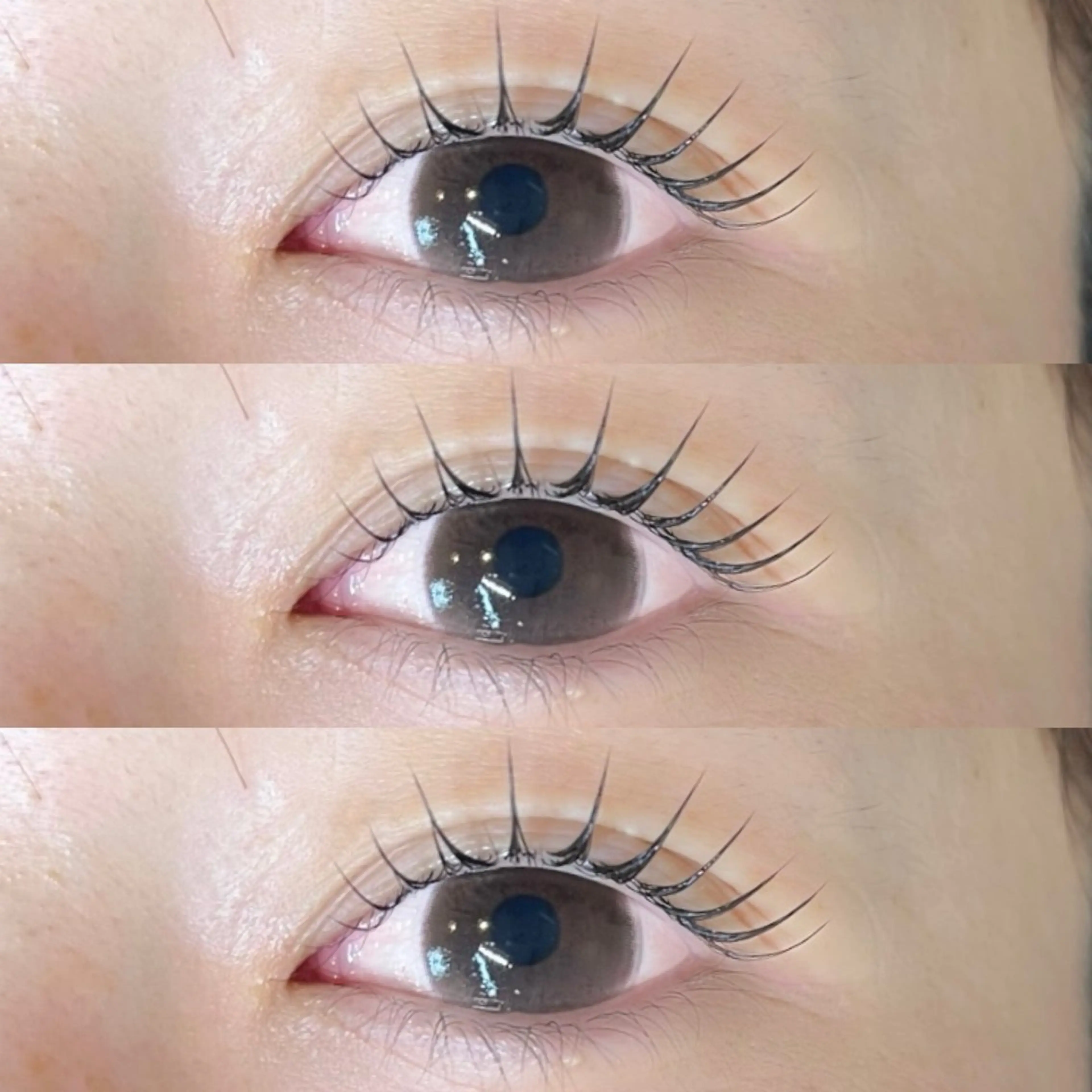 マツエク・マツパ マツエク Canon. 🧺LashRushのマツエク・マツパデザイン