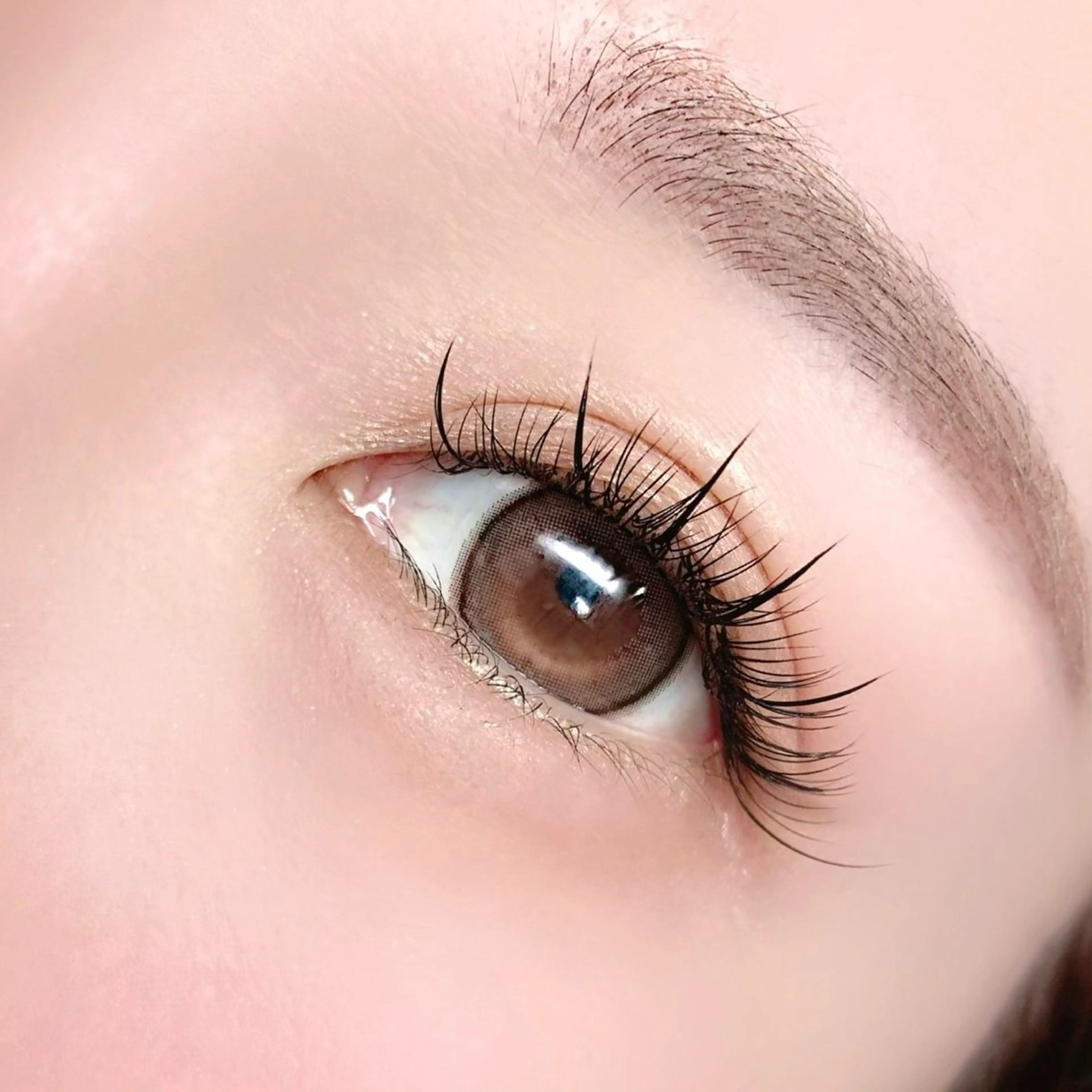 🌿10名様限定🌿フラットラッシュ韓国風束感デザイン120本の写真