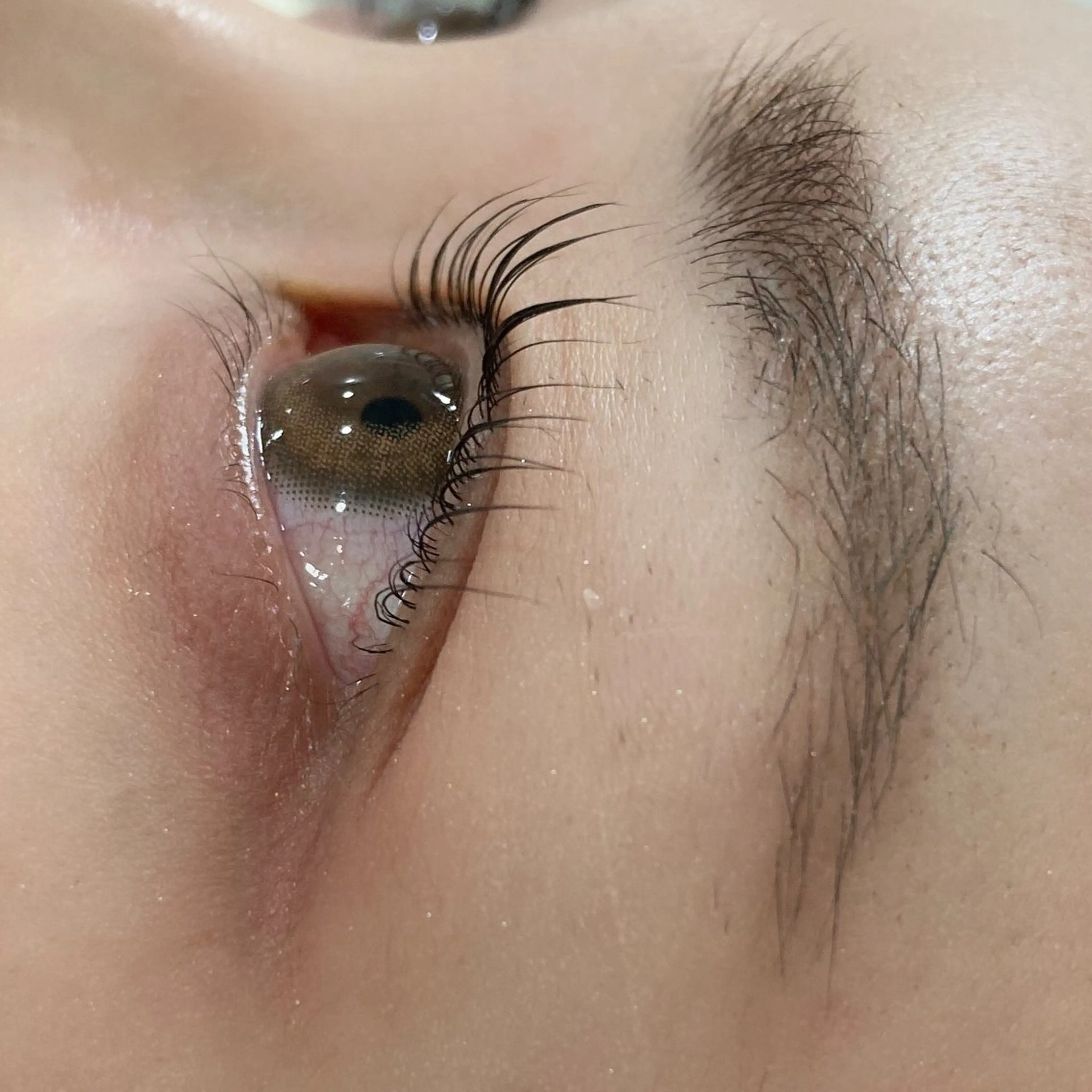 マツエク・マツパ to/me 大宮店 みなとの眉毛・アイブロウイメージ