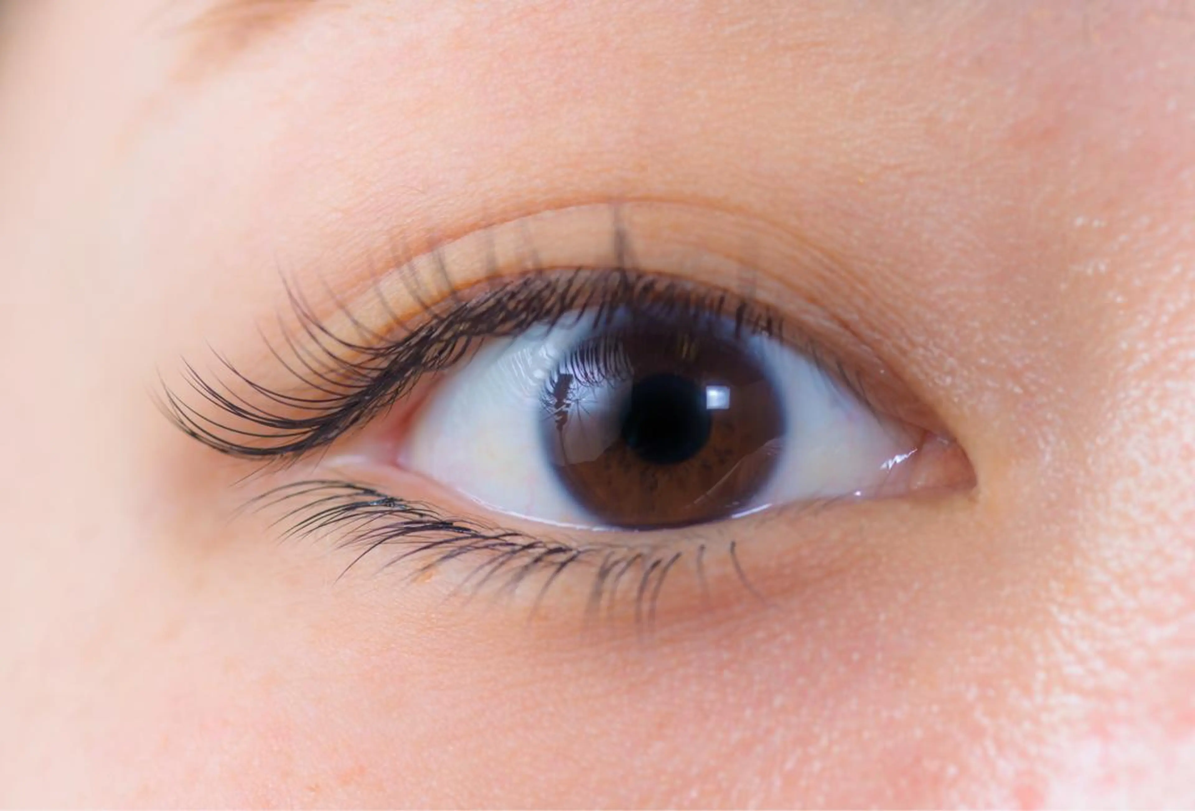 マツエク・マツパ セーブル アイサロン フェア 川崎店のマツエク・マツパデザイン