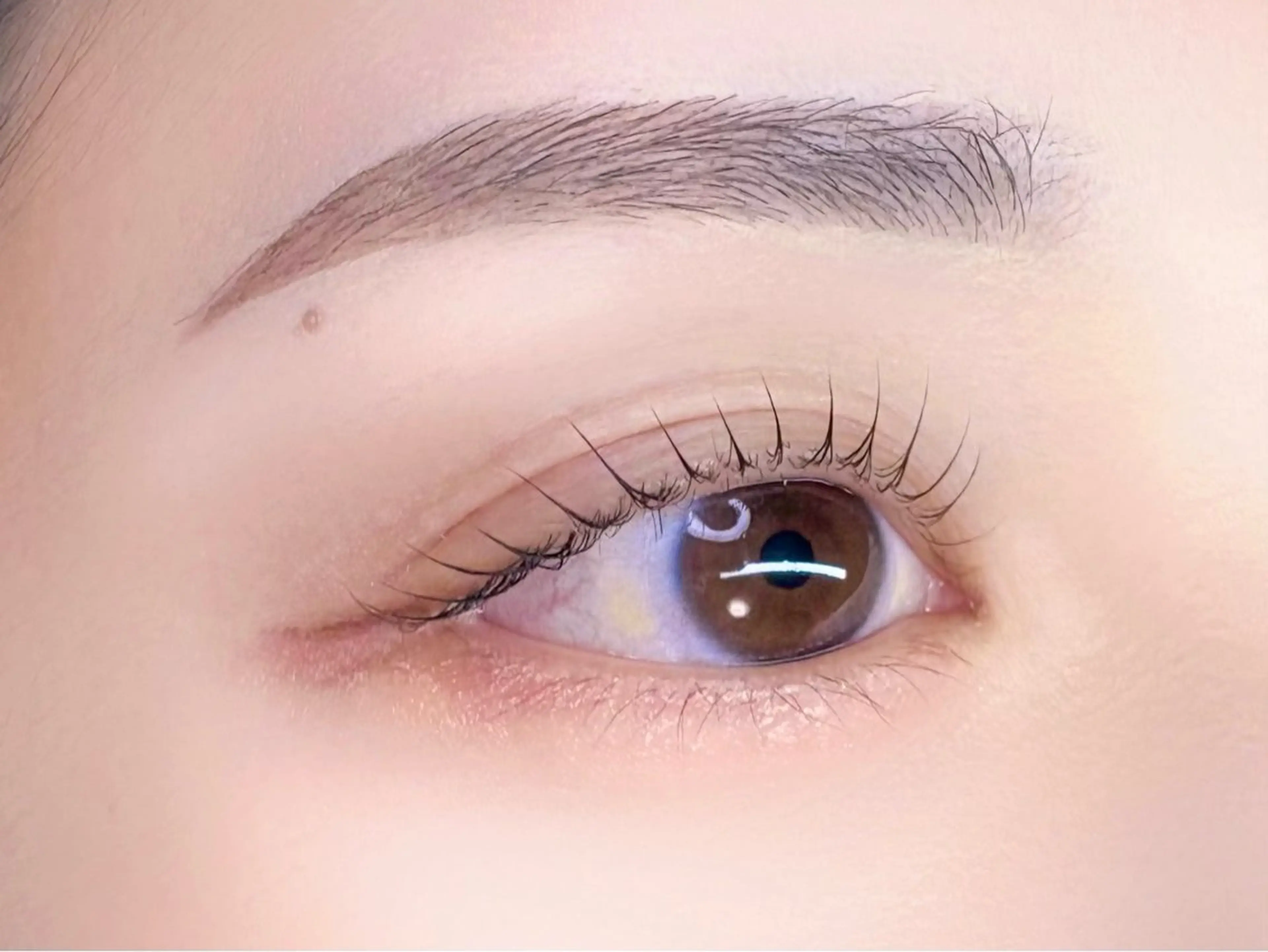 アイブロウ マツパ Chisato🤍池 袋/マツパ/マツエクのマツエク・マツパデザイン