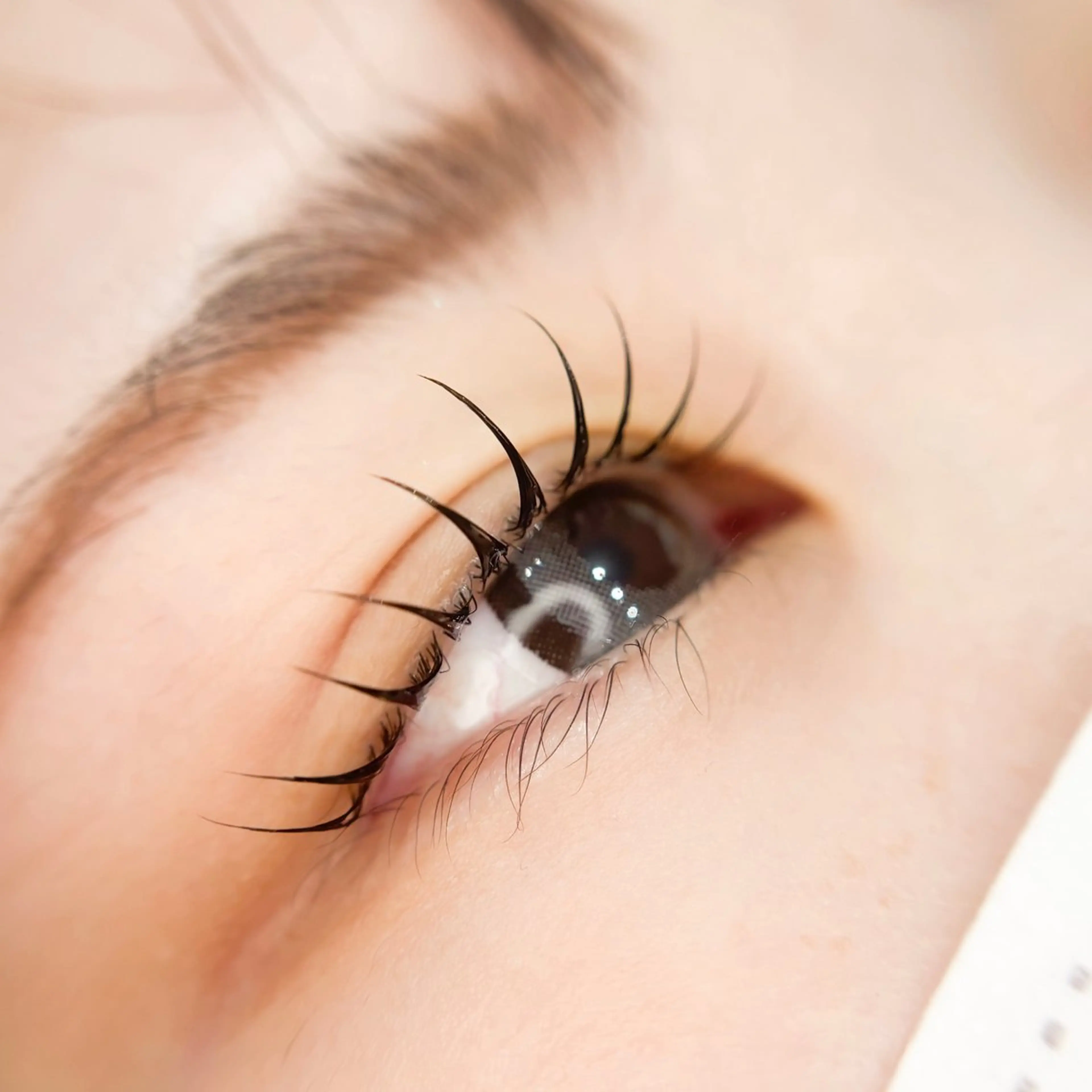 まつ毛パーマ【ピーナッツロッド】🥜コーティング付♪¥5,800→¥5,220の写真