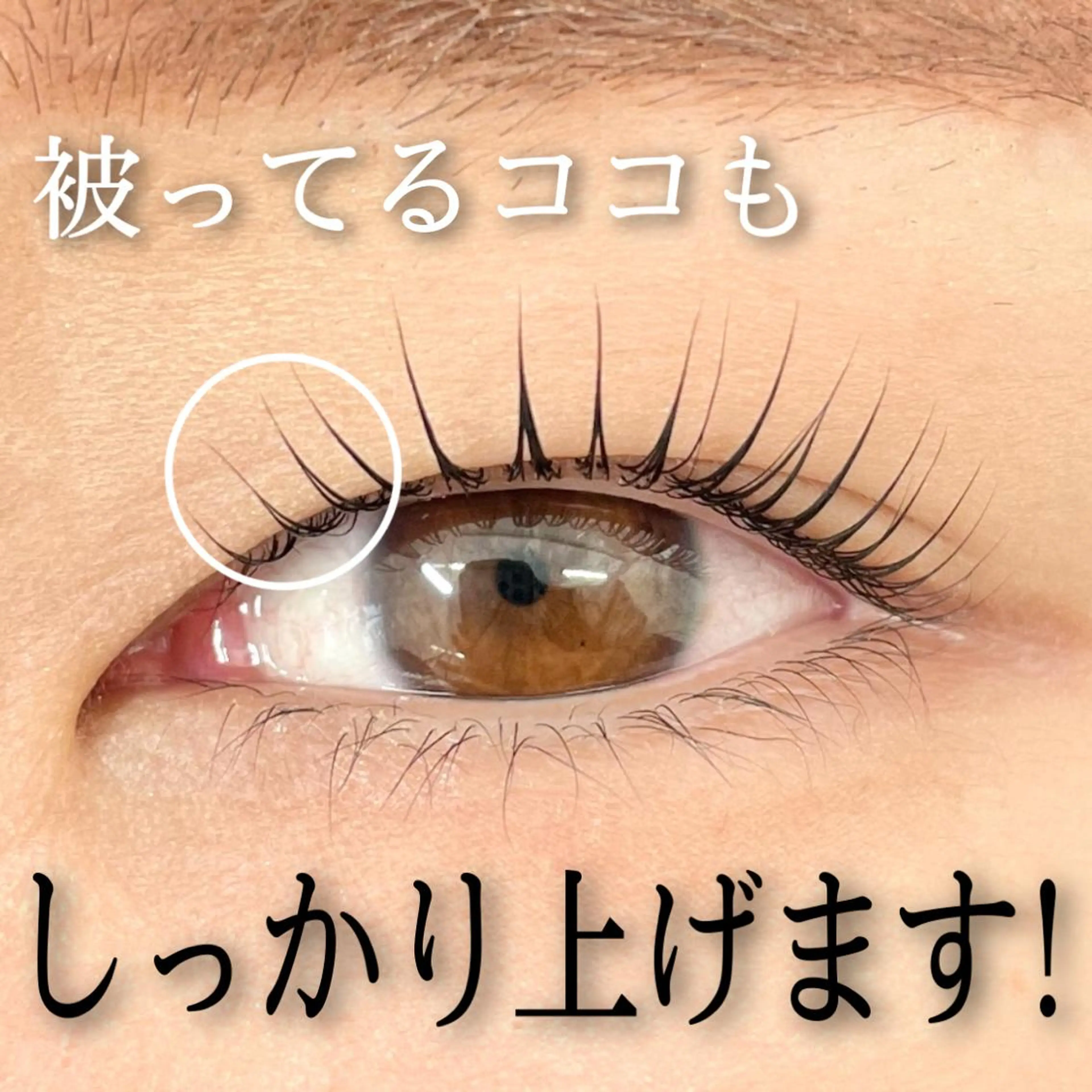 マツエク・マツパ アイブロウ MAUMU eyelash&eyebrow salon所属・𝙈𝙖𝙠𝙤 ꨄ 束感まつ毛 ꨄ北堀江のマツエク・マツパデザイン
