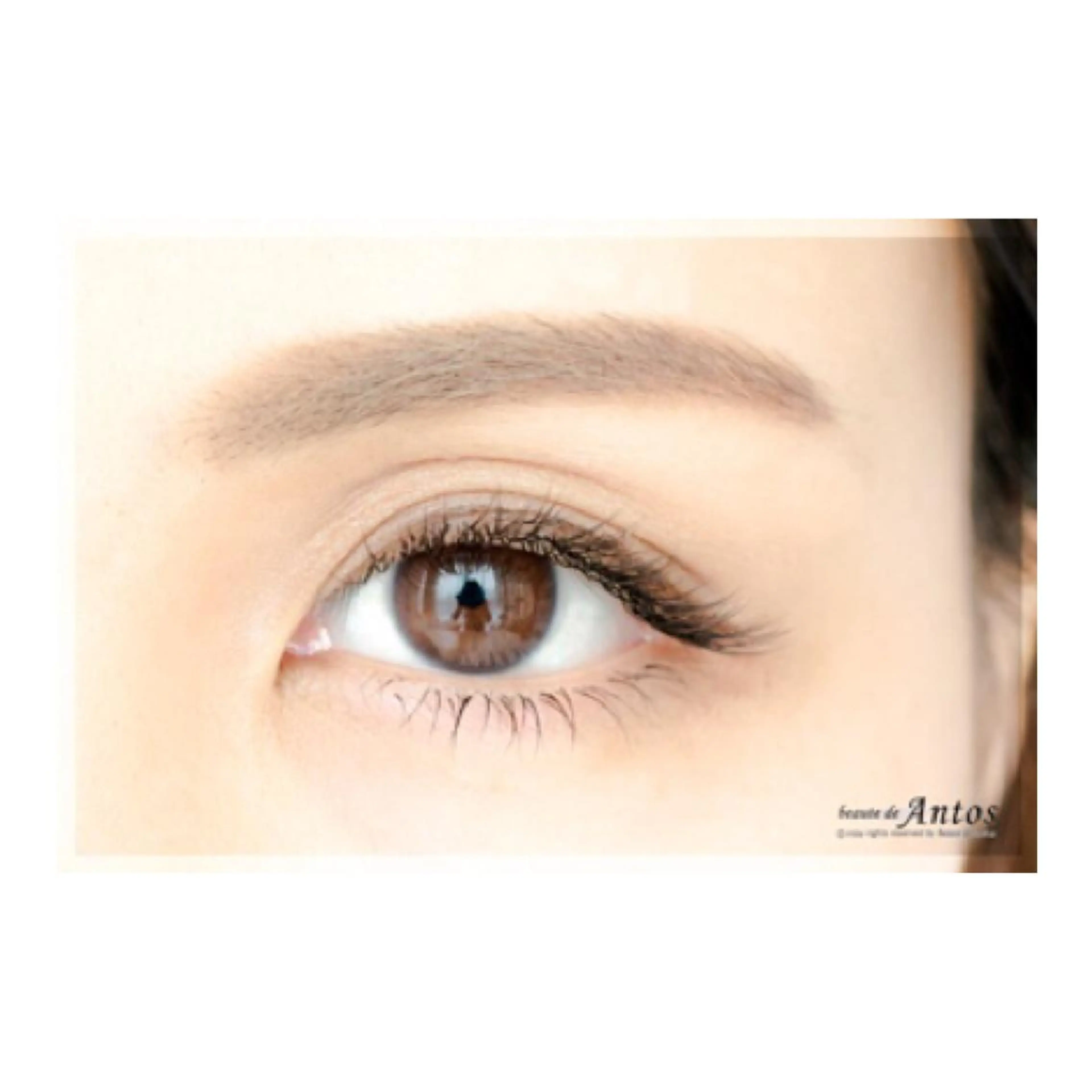 【新規/マツエク練習モデル💫セーブル120本まで/60分】オフなし&エクステ及びパーマ残り不可の写真