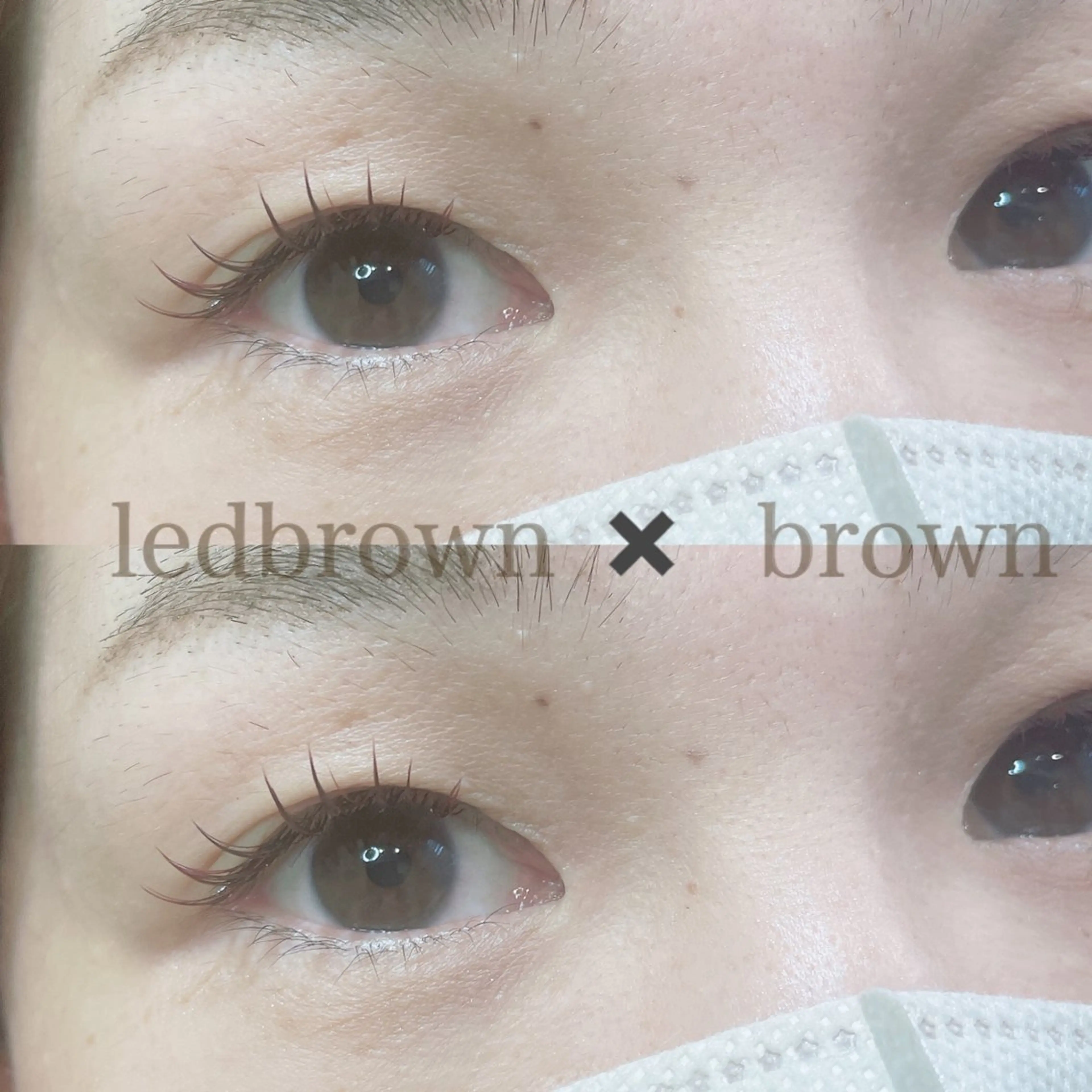 マツエク・マツパ カラーマツエク マツエク SEALA 高石店所属・SEALA 高石の眉毛・アイブロウイメージ