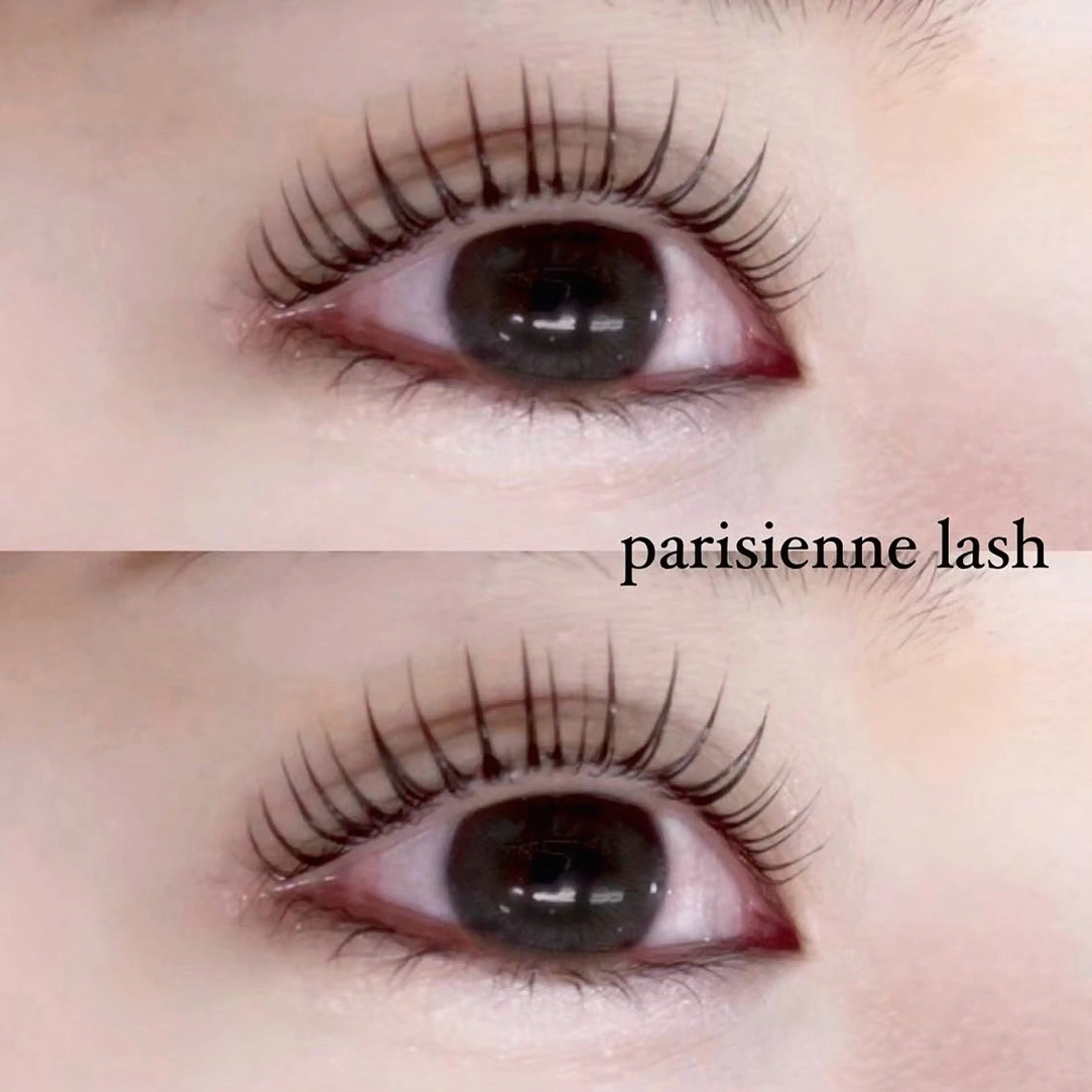マツエク・マツパ パリジェンヌラッシュリフト 仲🤍心斎橋/LED /眉毛/まつげパーマのマツエク・マツパデザイン