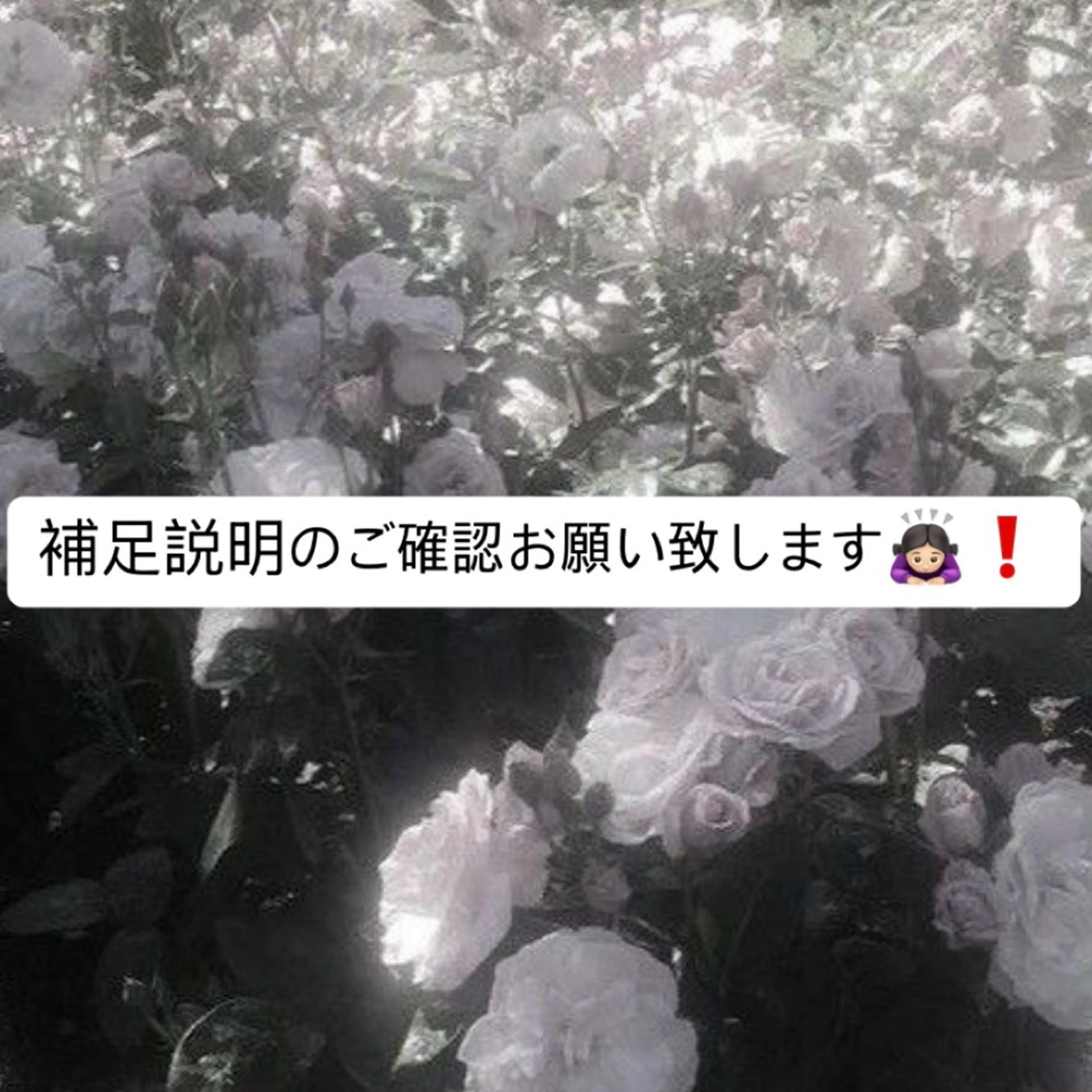 カット➕カラー 🎨 【メンズ・レディース】(ブリーチなしワンカラー)(3cm以上切れる方限定💇)の写真