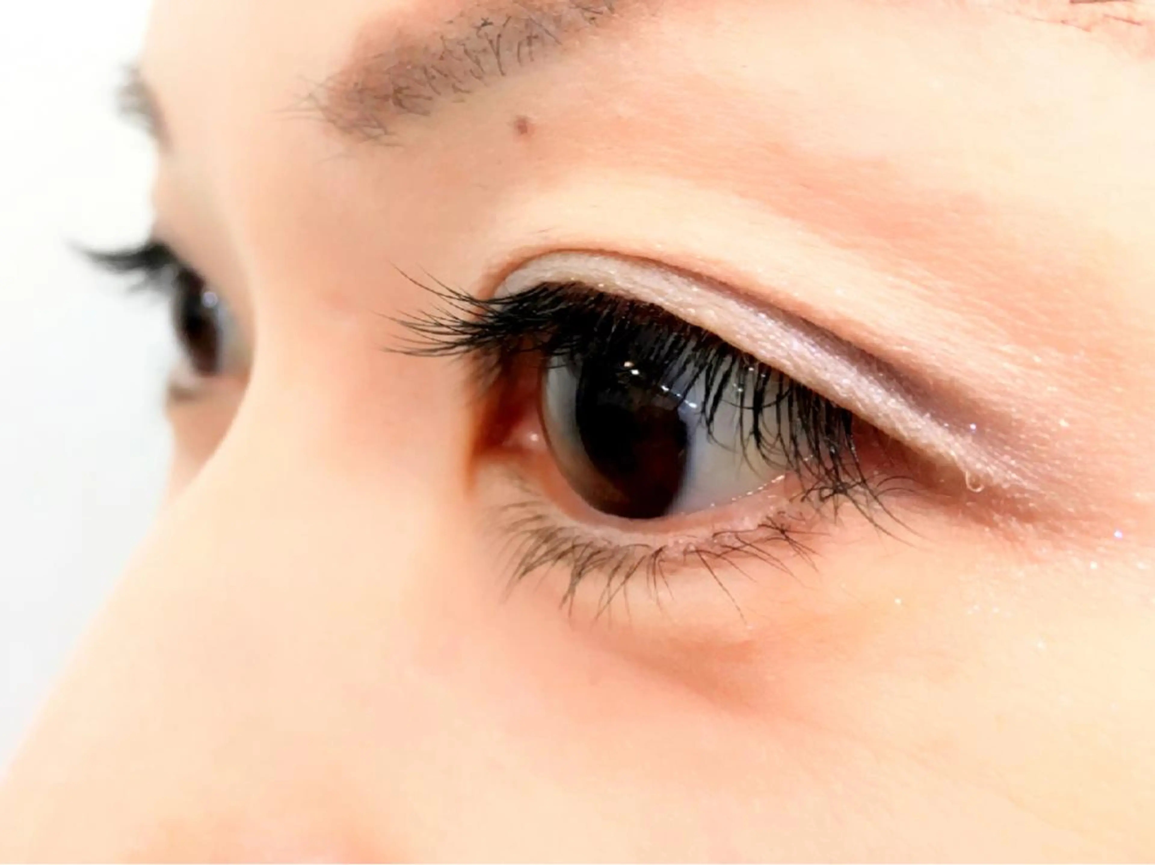 マツエク・マツパ Jカール 🥚sumire🥚 アイデザイナーの眉毛・アイブロウイメージ