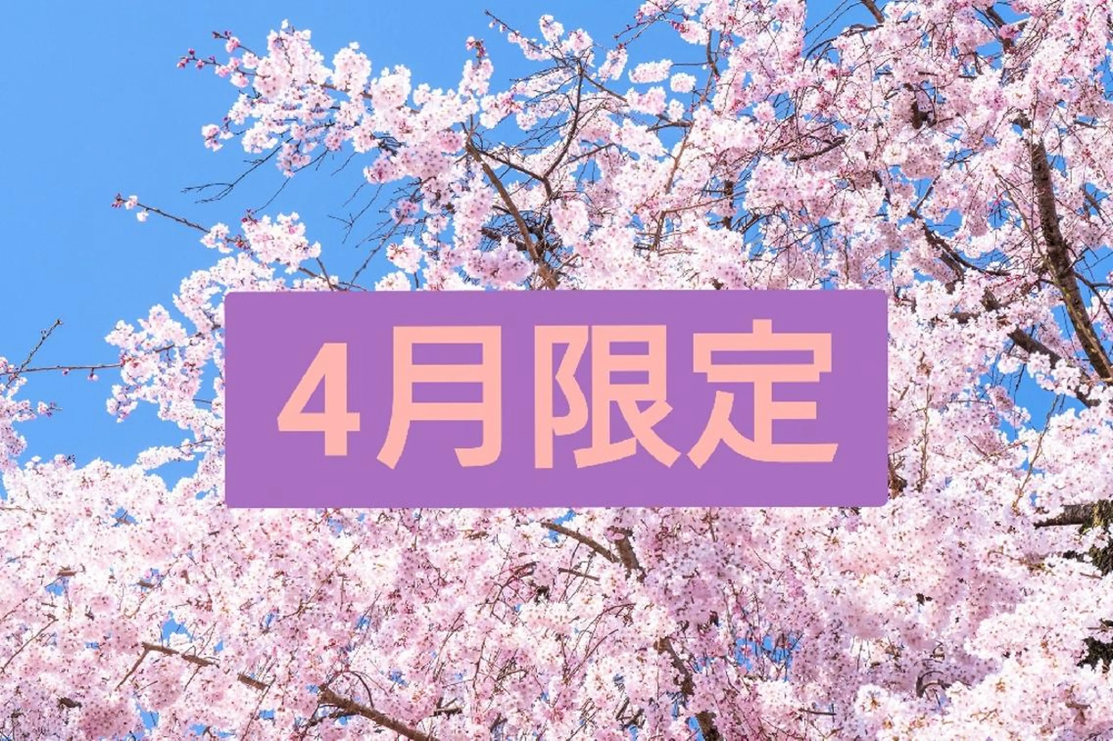 ネイル 🍒当日もOK🍒 𝑳𝑼𝑵𝑨花井のネイルデザイン