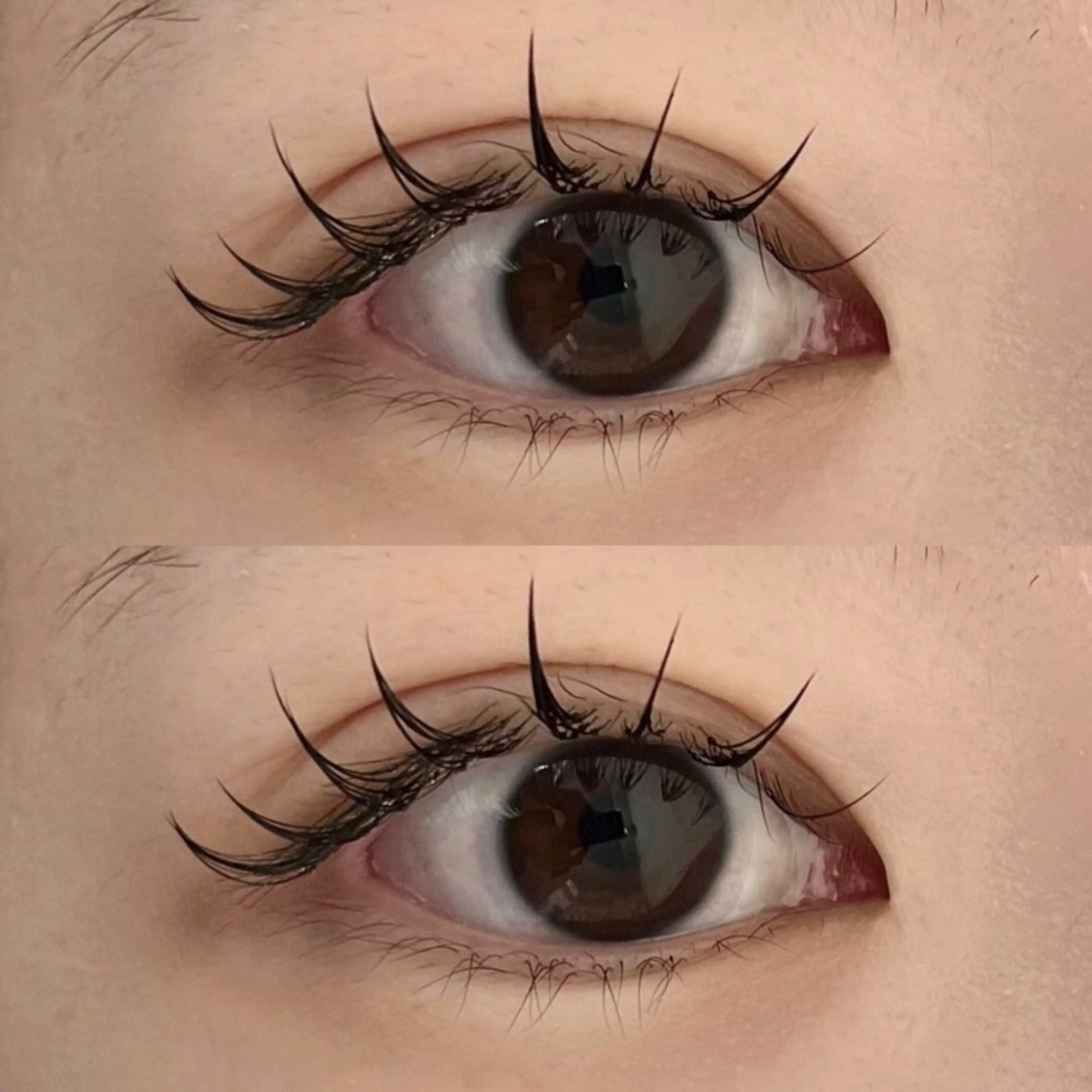 当日予約❗️✦.°フラットラッシュ160本🎀【オフなし】の写真