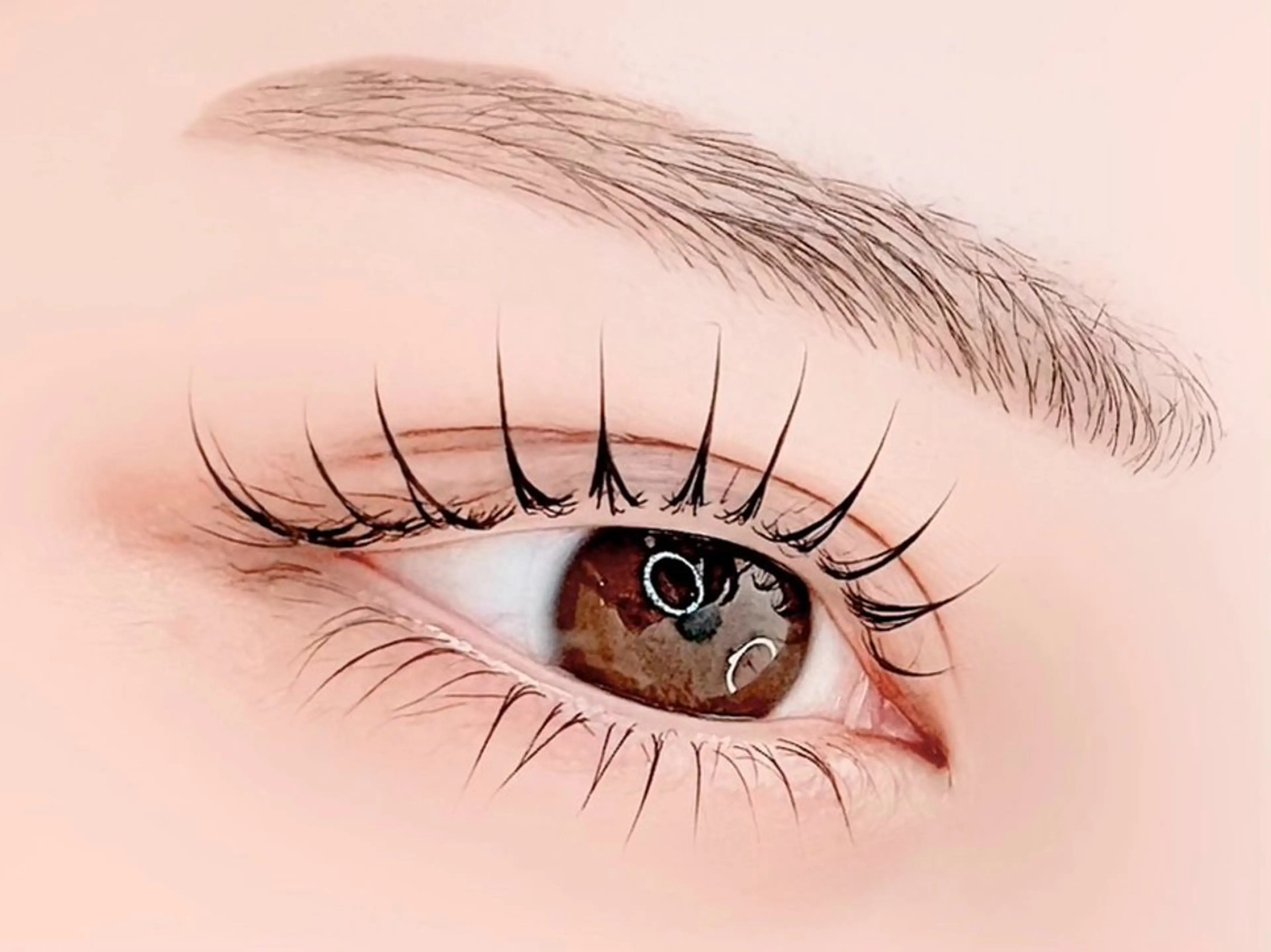 ✨️上下まつ毛パーマorパリジェンヌ✨️＆🪞美眉アイブロウwax🪞の写真