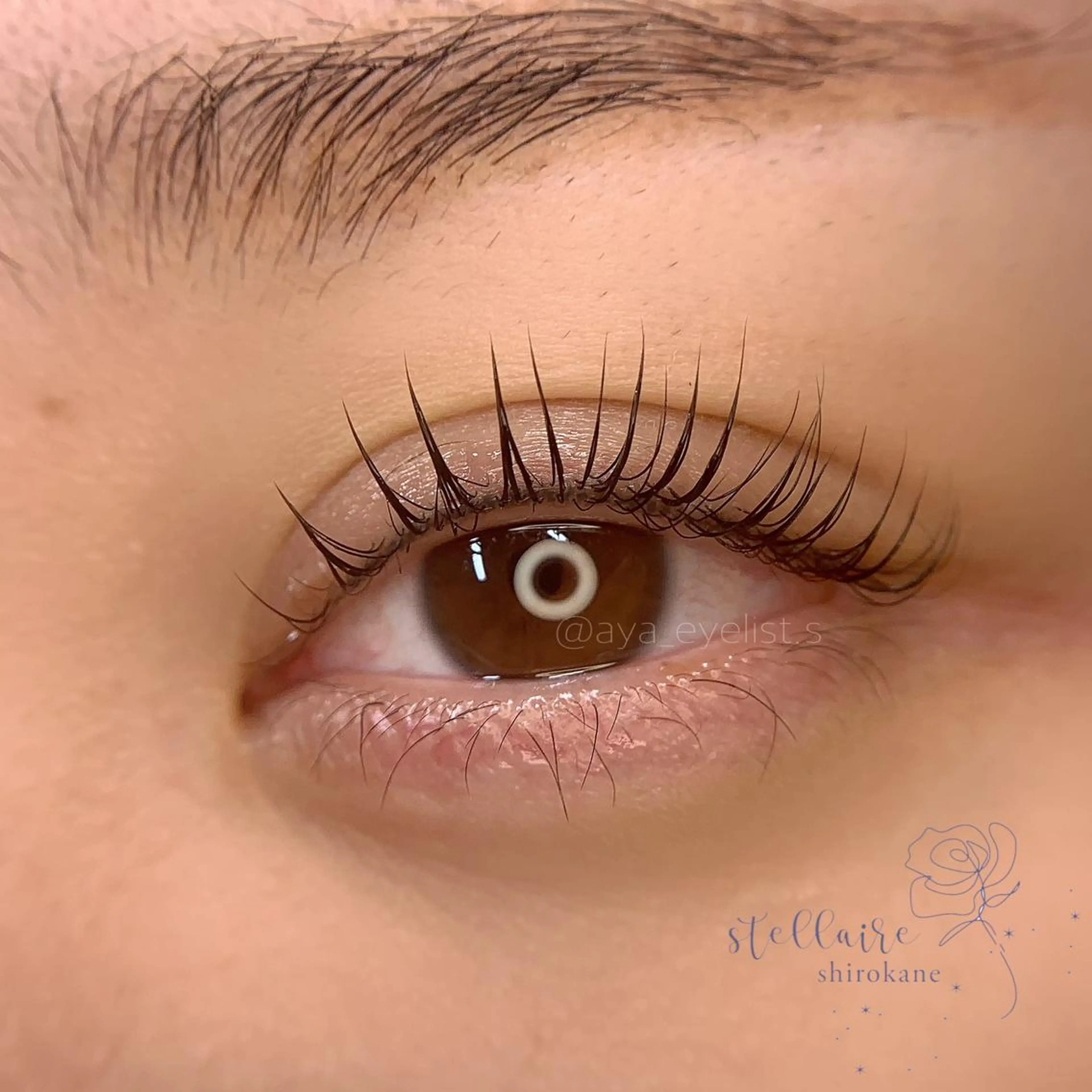 マツエク・マツパ まつげパーマ マツパ iny share salon原宿店【Raymy-eyelash.eyebrow】所属・Eyelist.s Ayaのマツエク・マツパデザイン