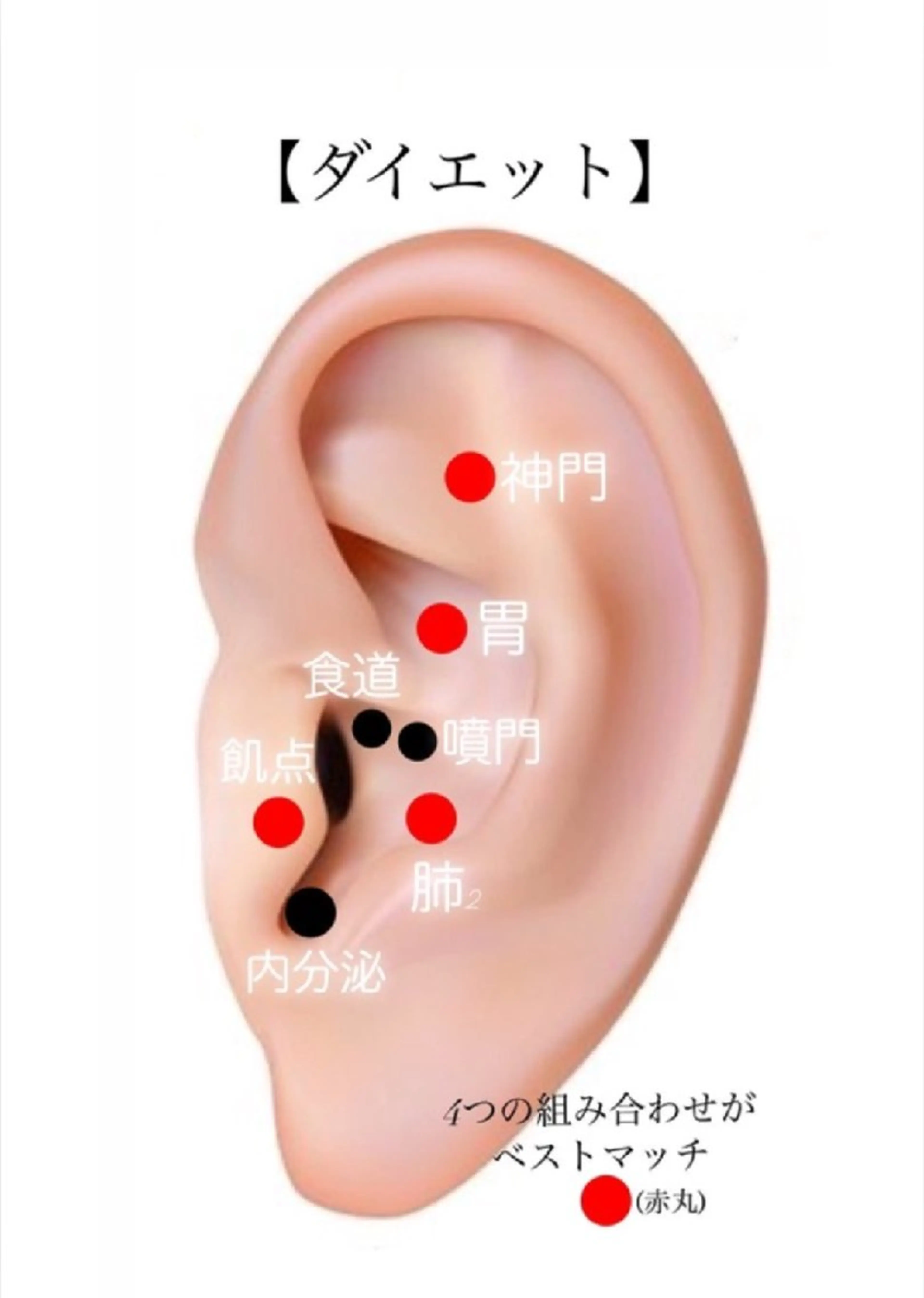  SOLEIL 小玉の眉毛・アイブロウイメージ