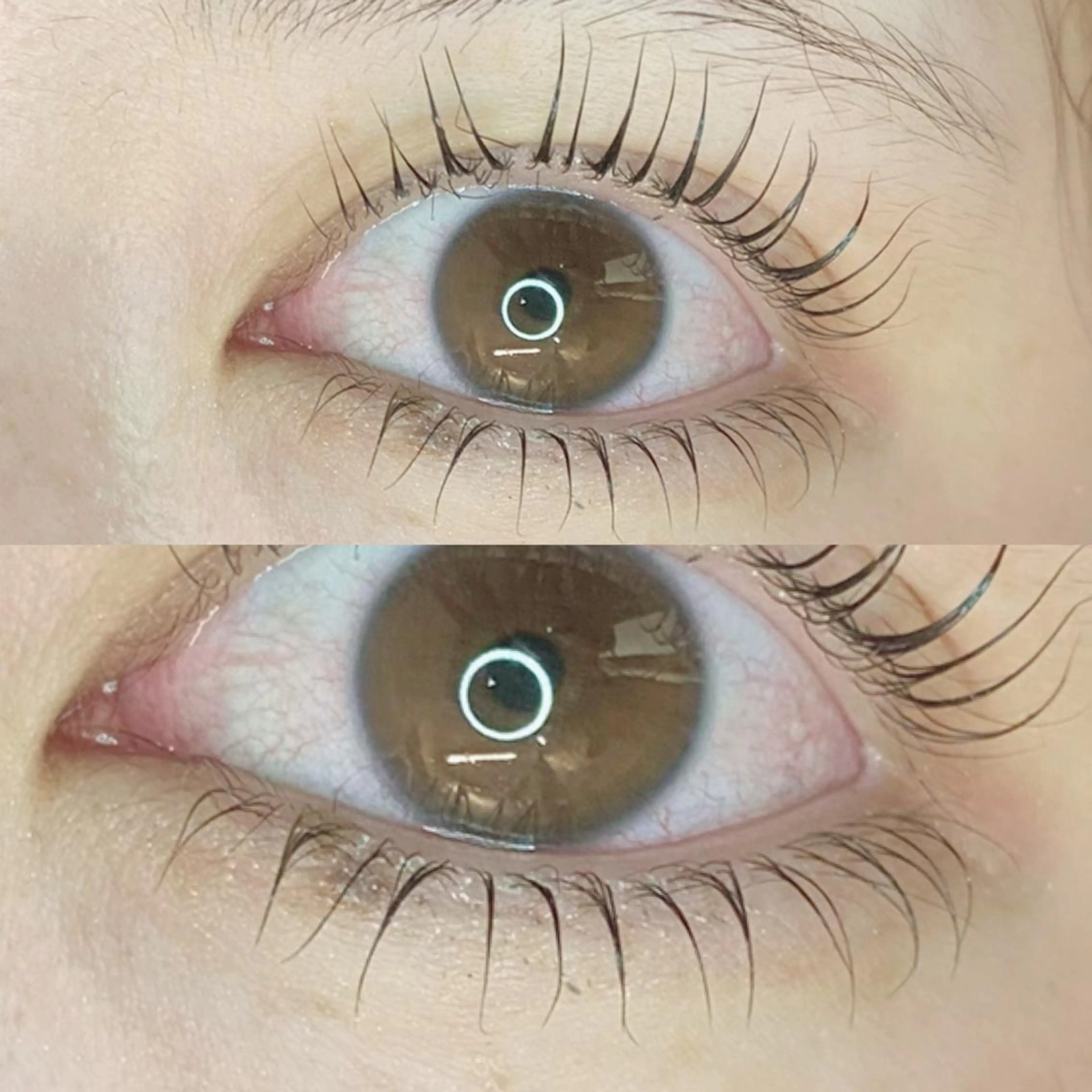 マツエク・マツパ マツパ Favori 川上のマツエク・マツパデザイン