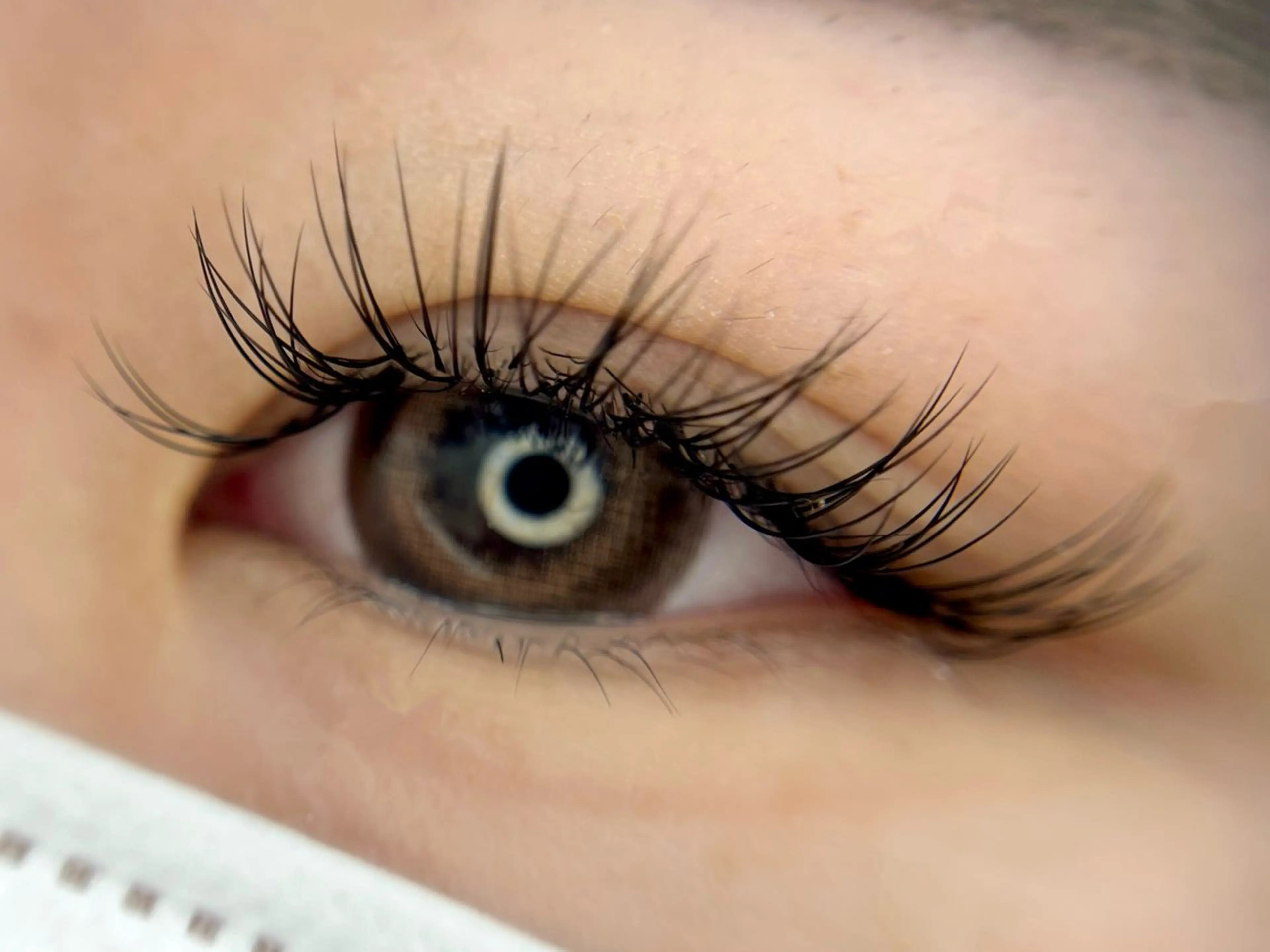 マツエク・マツパ フラットラッシュ Re more 【リモア】 アイラッシュ&アイブロウ 蒲田店所属・Re more蒲田店 misaのその他イメージ