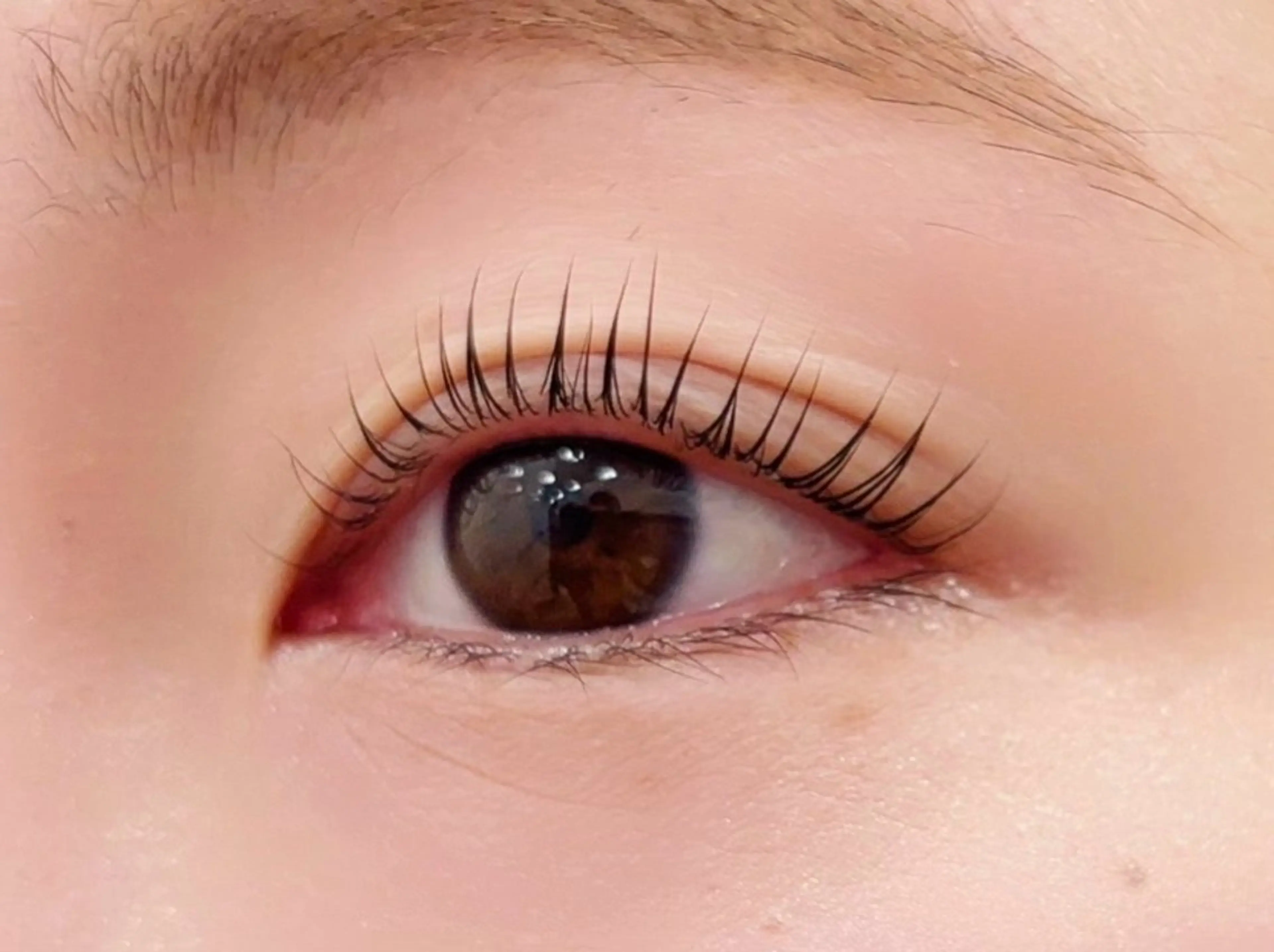 マツエク・マツパ パリジェンヌラッシュリフト CILGRACE 天野のマツエク・マツパデザイン