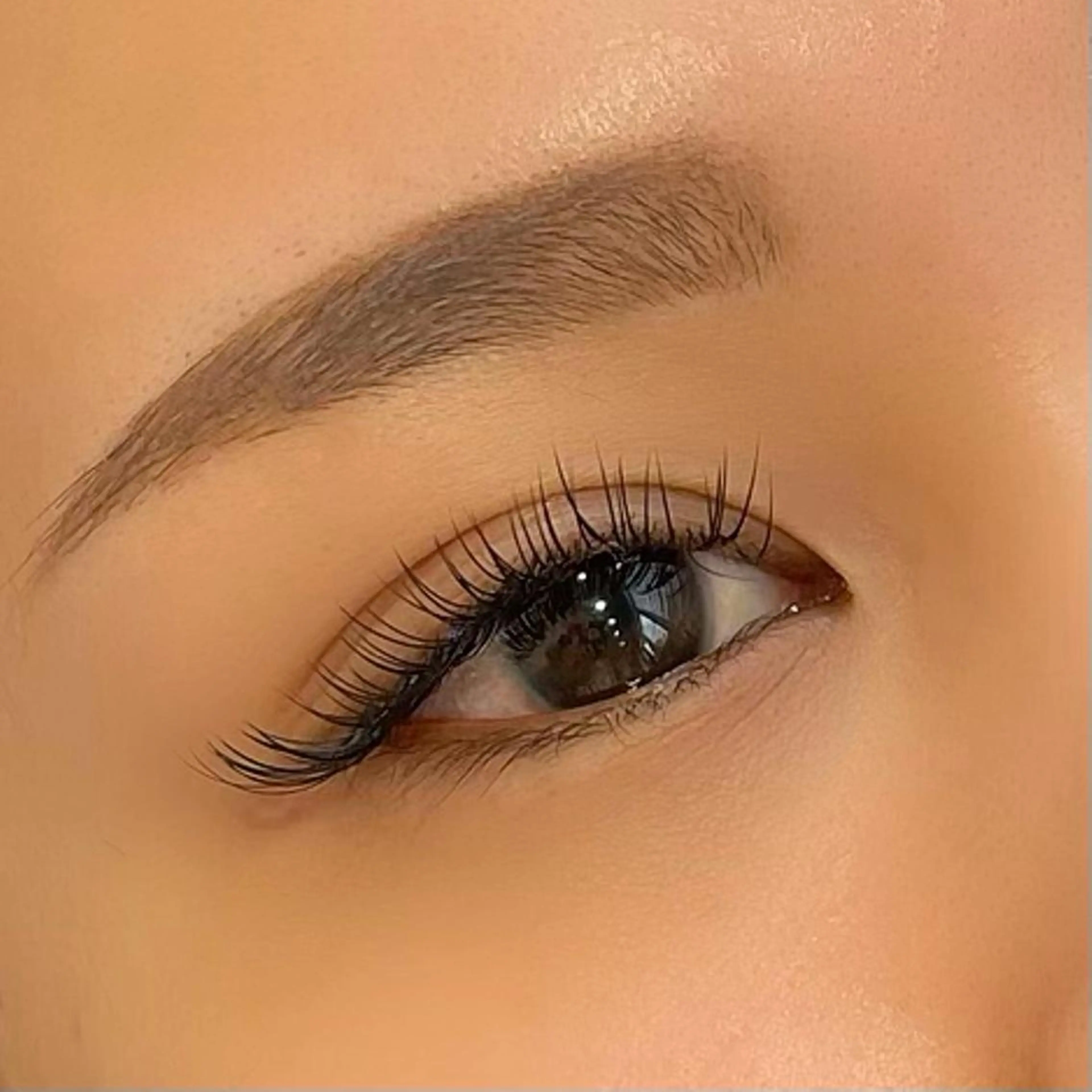 マツエク・マツパ 付け放題 フラットラッシュ LED/パリエク Yukariのマツエク・マツパデザイン