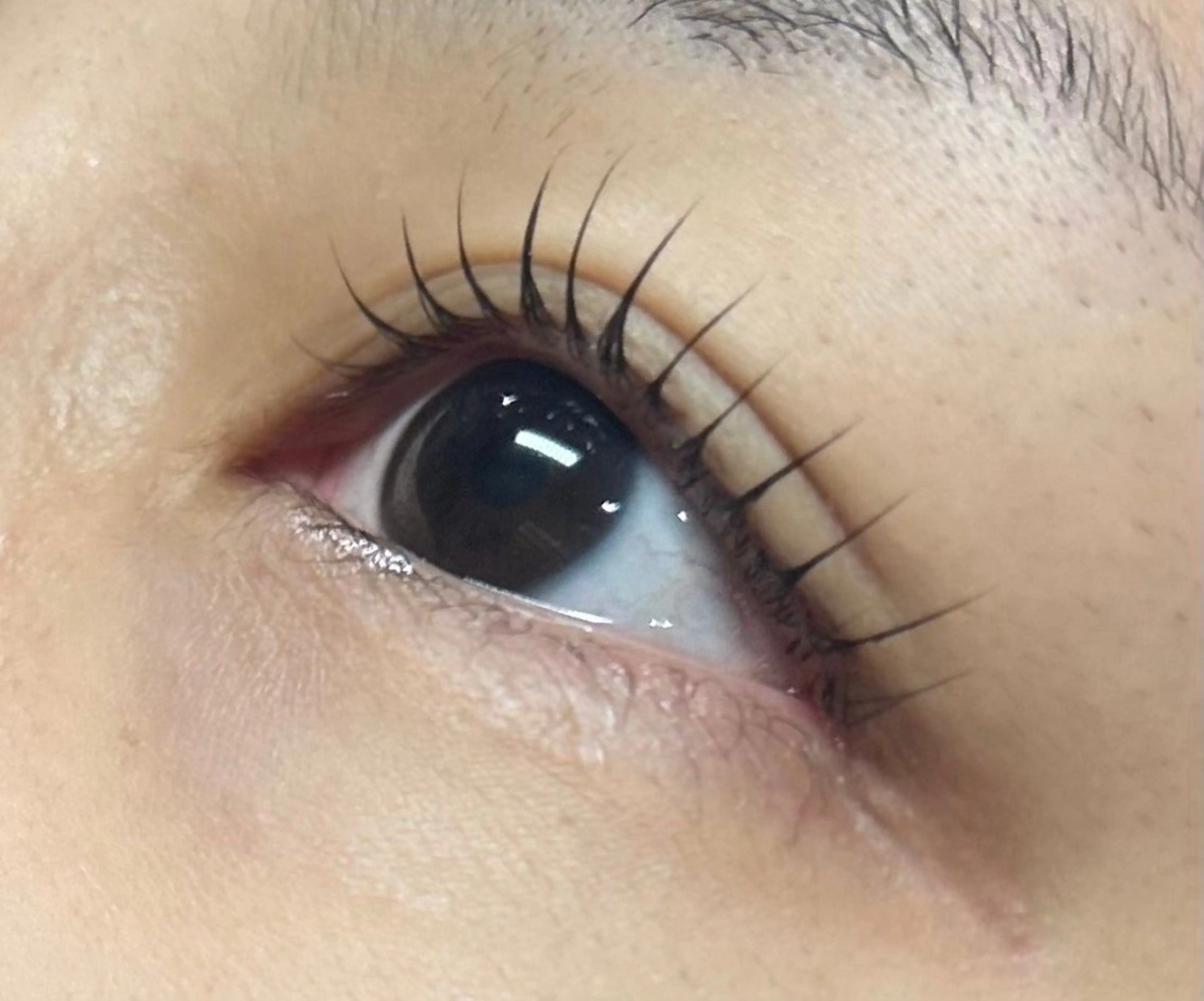 マツエク・マツパ パリジェンヌラッシュリフト address 石本のマツエク・マツパデザイン