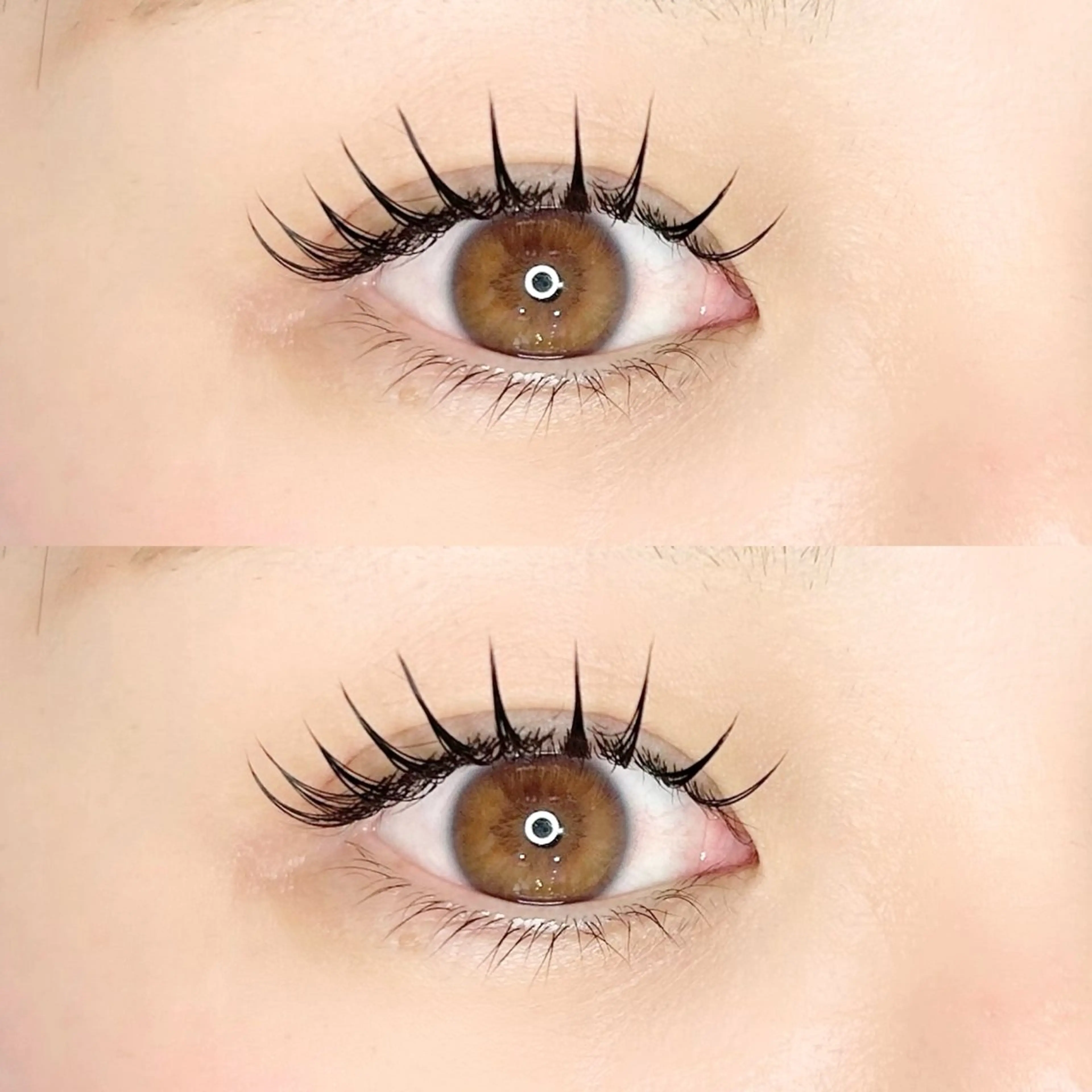 【持続性up🩶】フラットラッシュ100本の写真