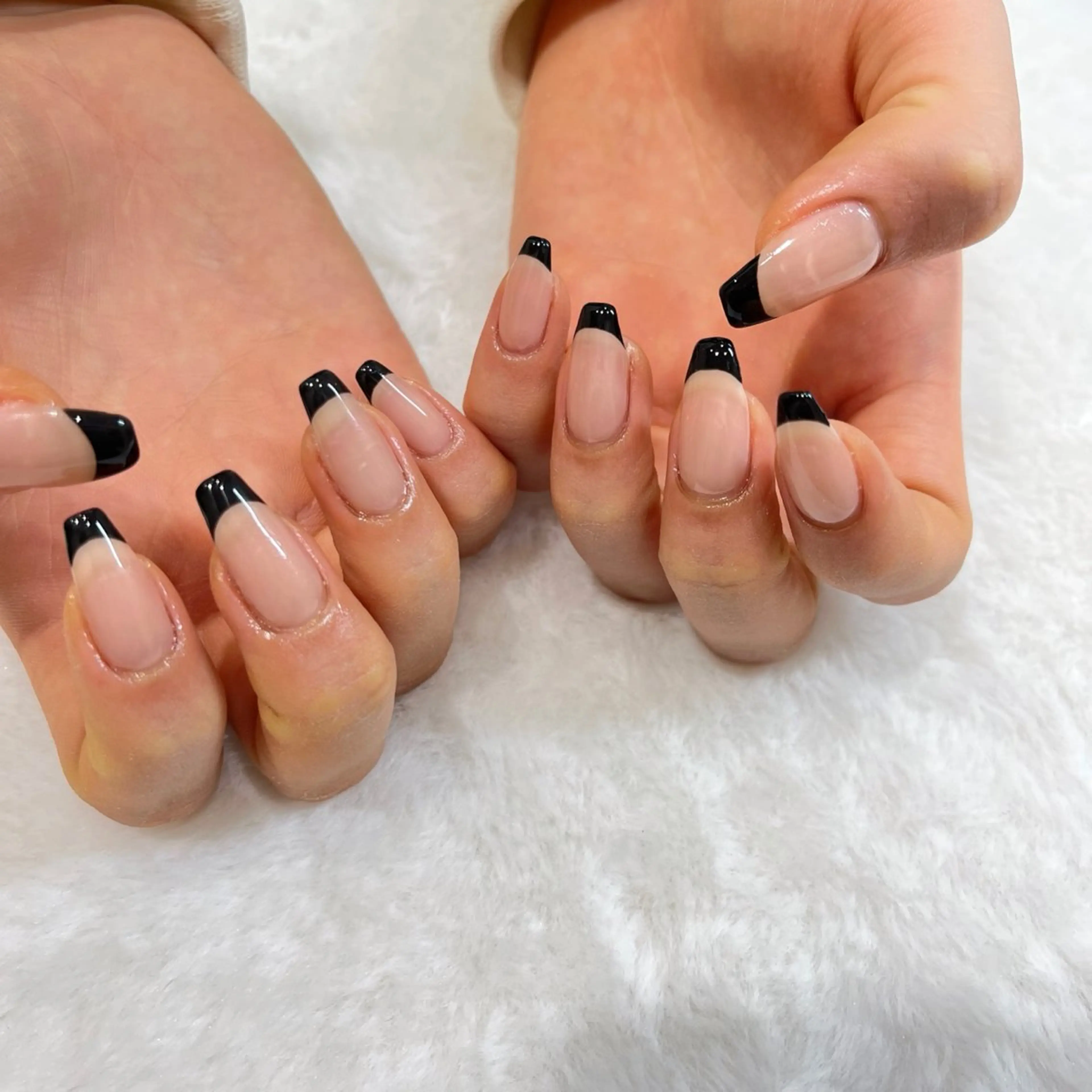 バーチャルフレンチorベイビーブーマー　オフ有の写真