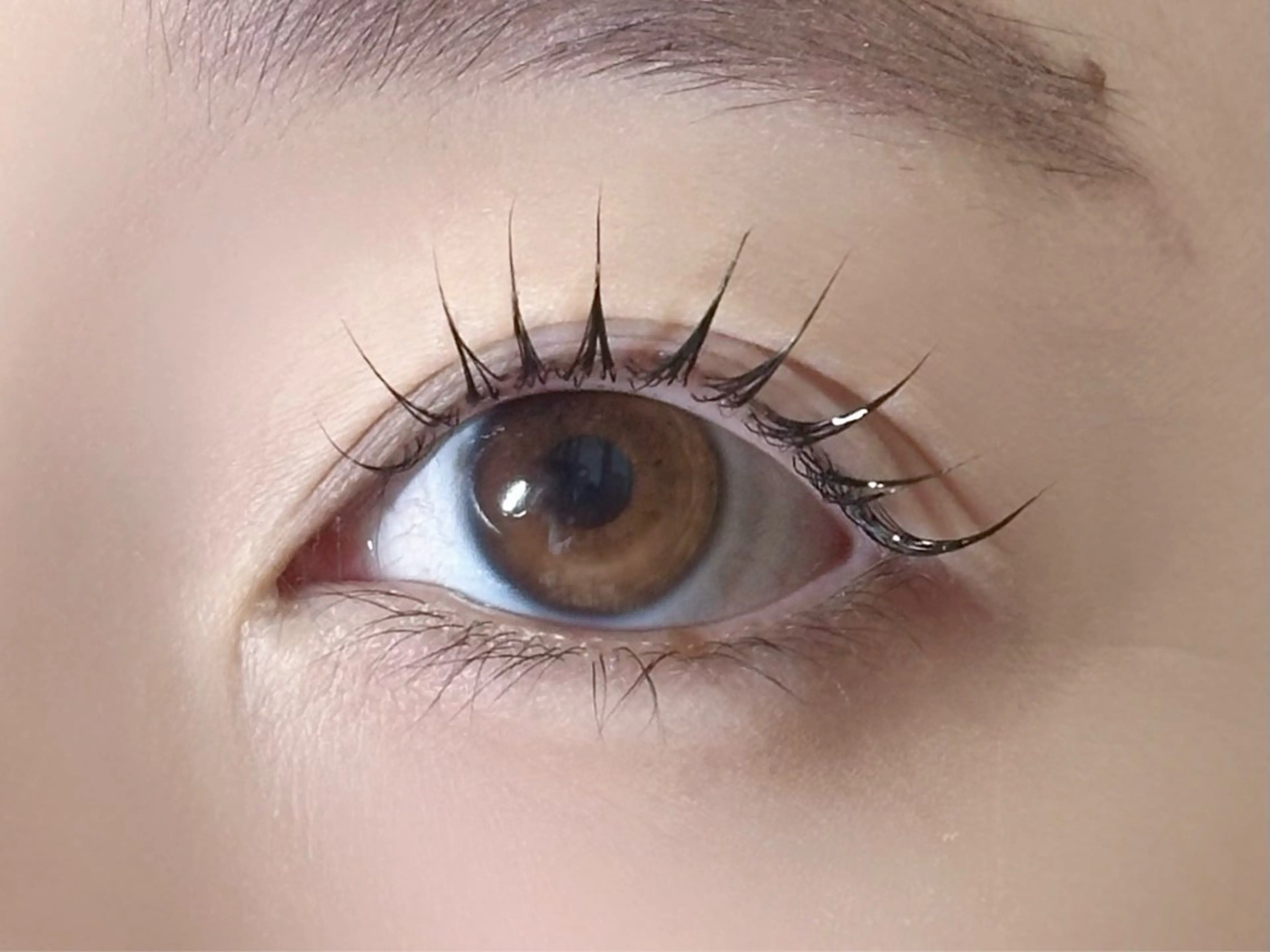 【学割】ラッシュリフトの写真