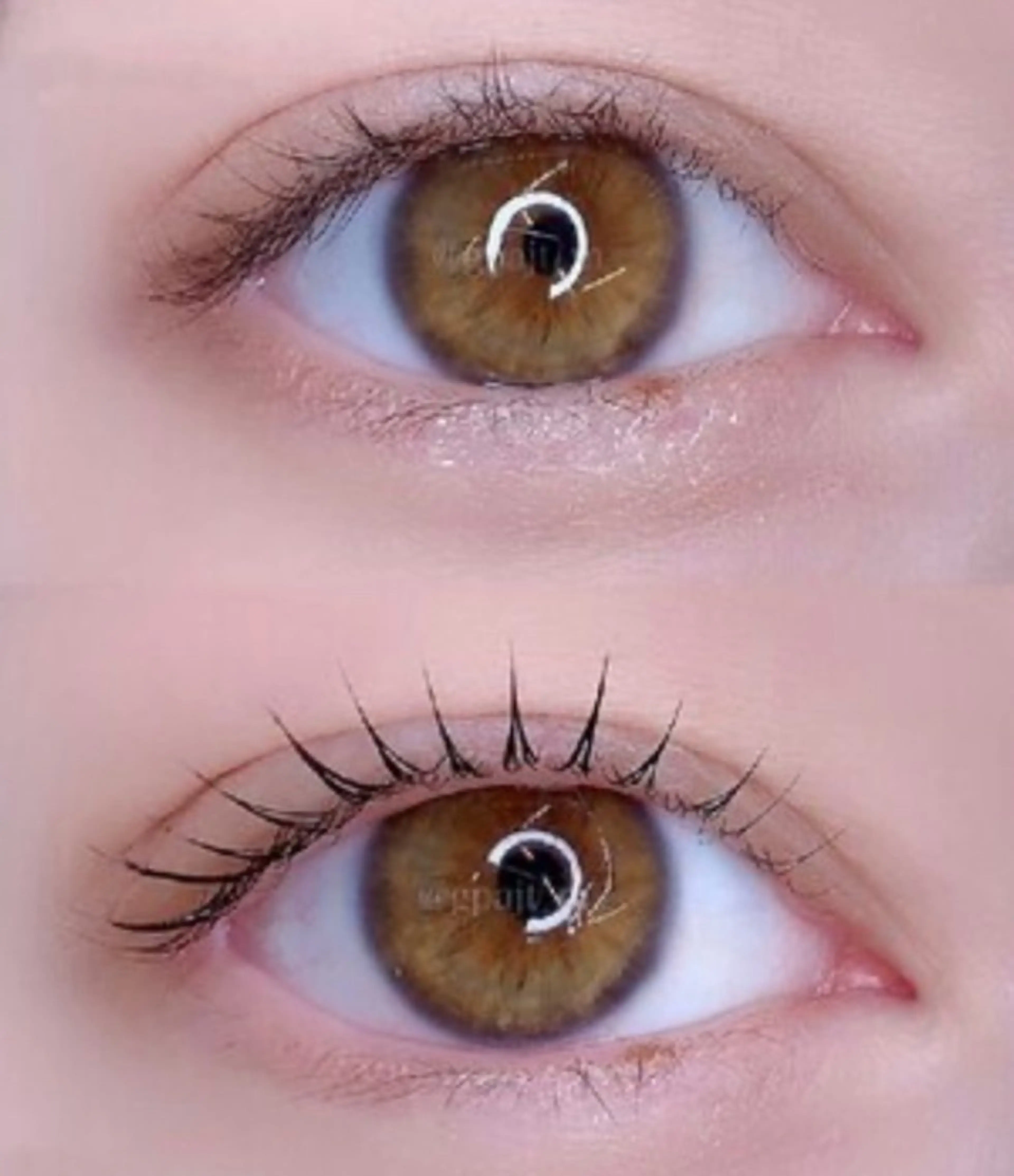 マツエク・マツパ 眉毛　まつげパーマ ルクス銀座店の眉毛・アイブロウイメージ