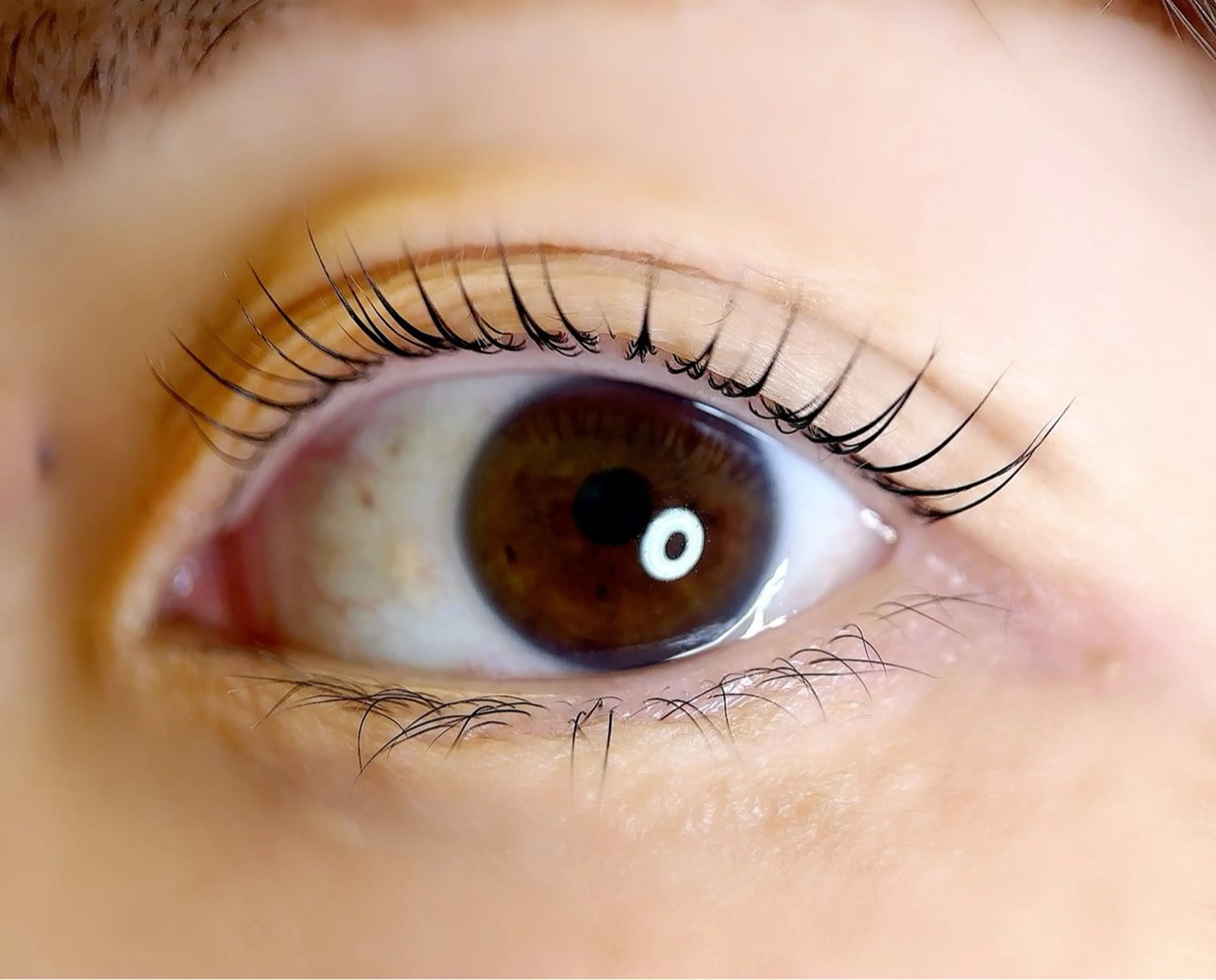 マツエク・マツパ 高蔵寺まつげ所属・高蔵寺まつげ 🌿 YANAの眉毛・アイブロウイメージ