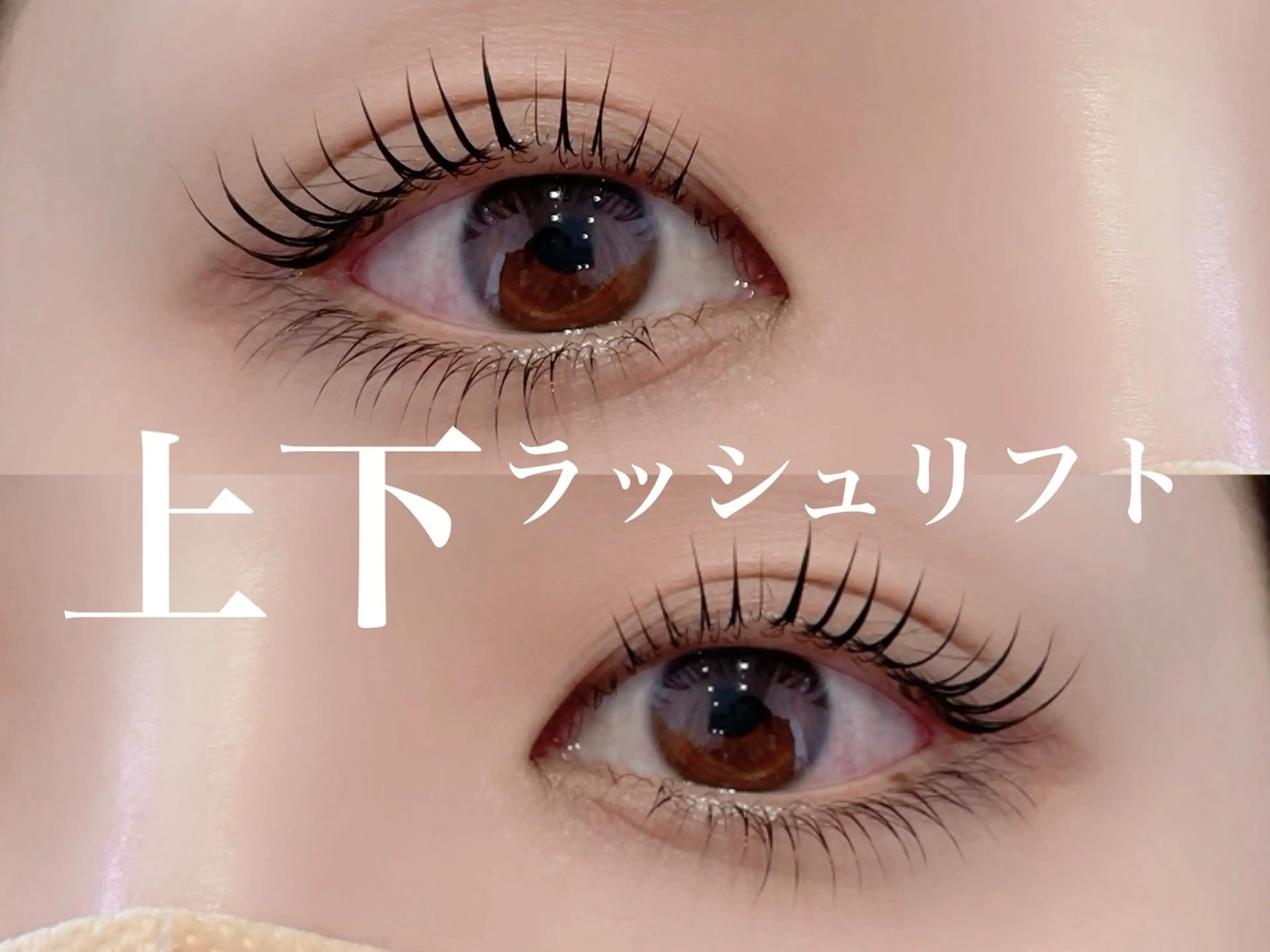 🩵ご新規様🩵《お目元パッチリ★上下パーマ》ラッシュリフト上下¥9900の写真