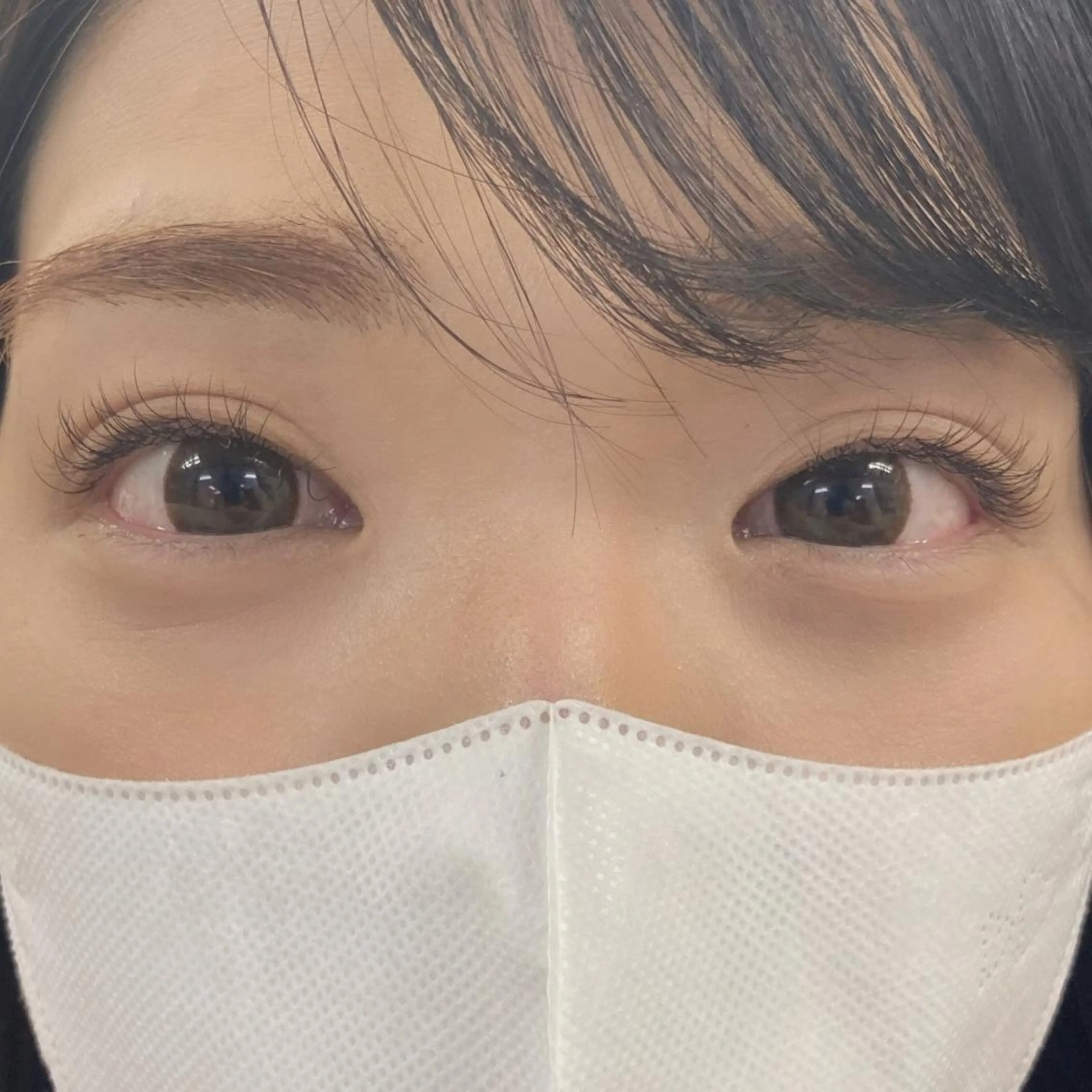 マツエク・マツパ キュート Dカール アイブロウワックス モデル募集の眉毛・アイブロウイメージ