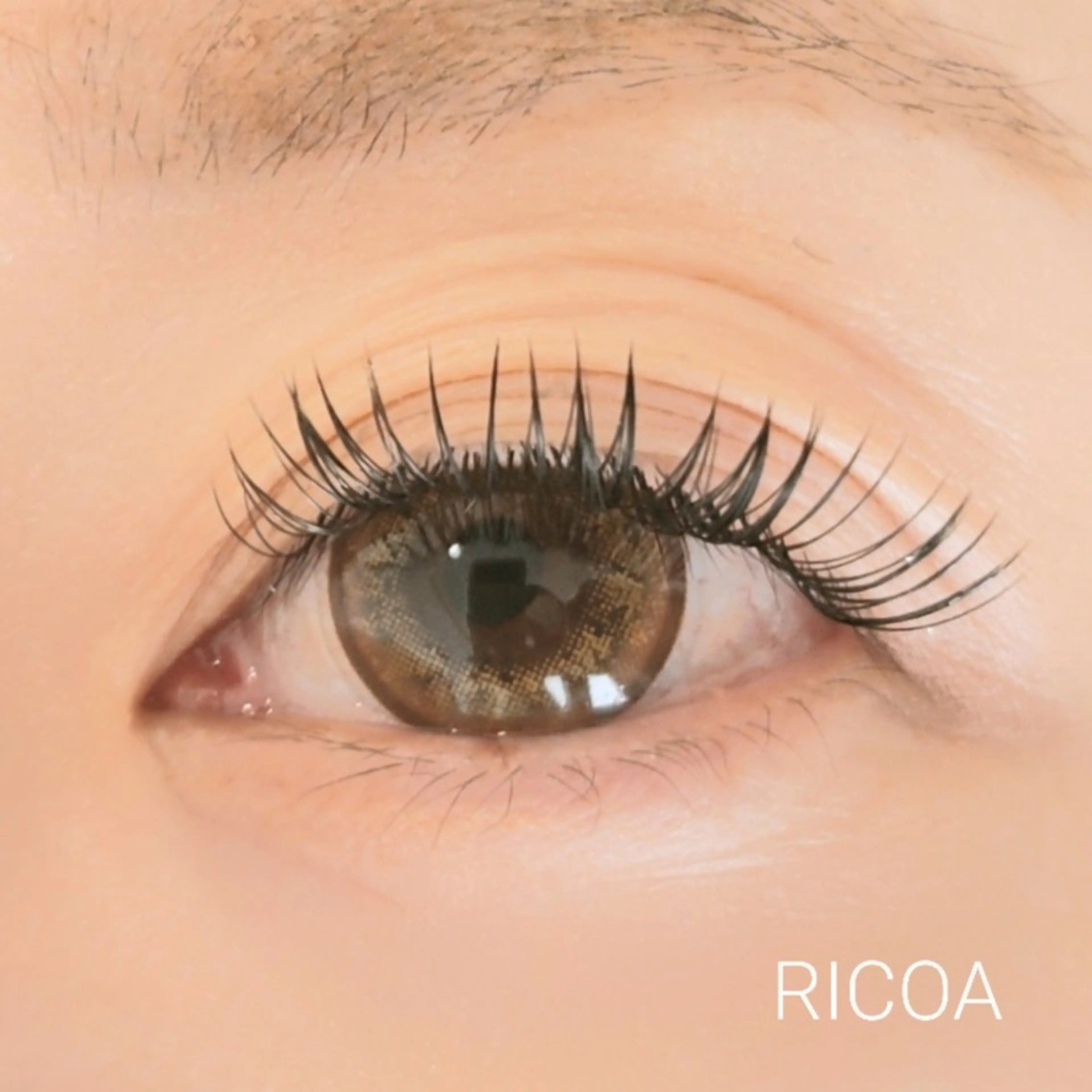 マツエク・マツパ Dカール フラットラッシュ マツエク RICOA 酒井のマツエク・マツパデザイン