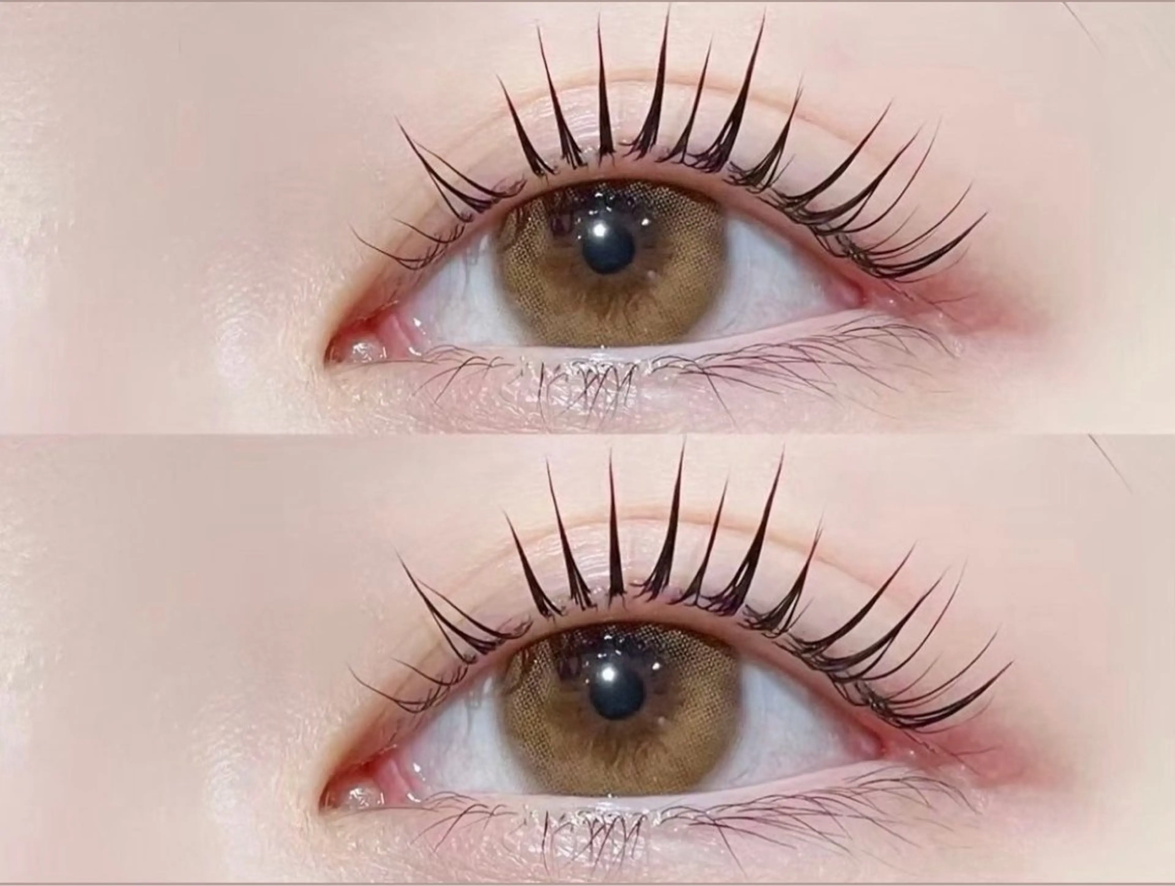 👀セットメニュー💡💫　　　　　　　　　　　　　　　　　🧸パリジェンヌ➕アイブロウwax🧸の写真