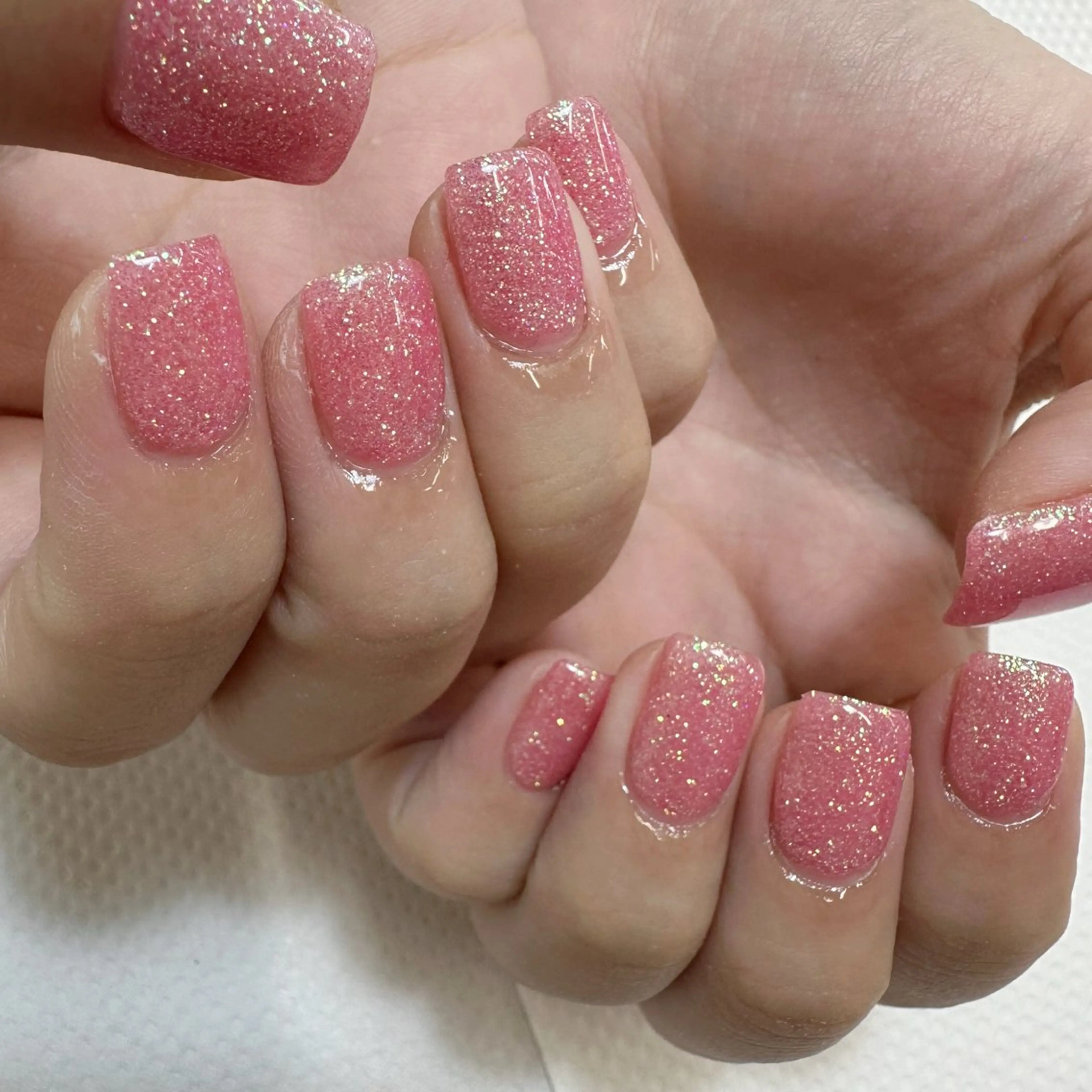 【オフあり】ワンカラー🩷の写真