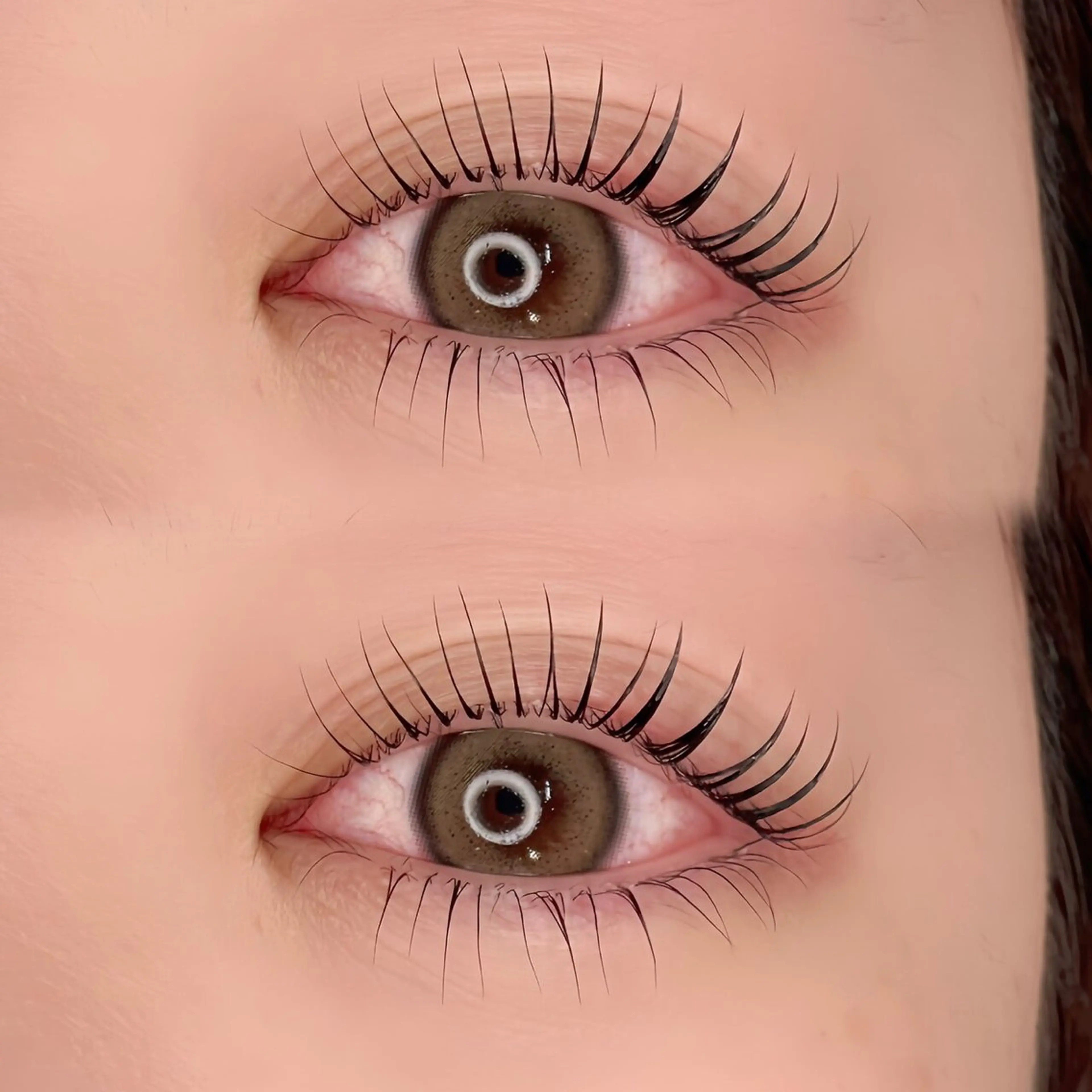 🍎まつげパーマ（トリートメント付き）🍎の写真