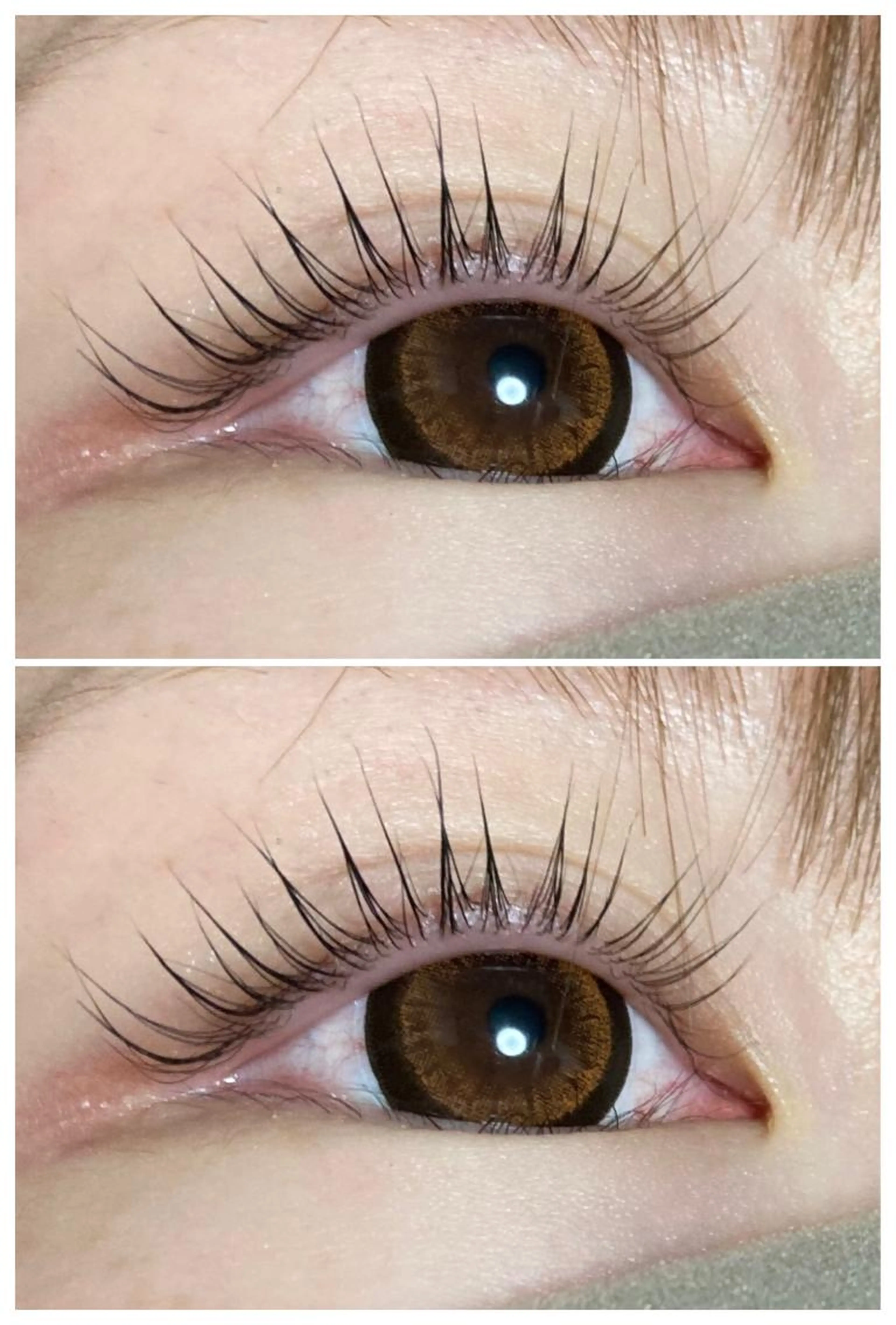 パリジェンヌラッシュリフト クリアコーティング仕上げオフプラス¥1000の写真