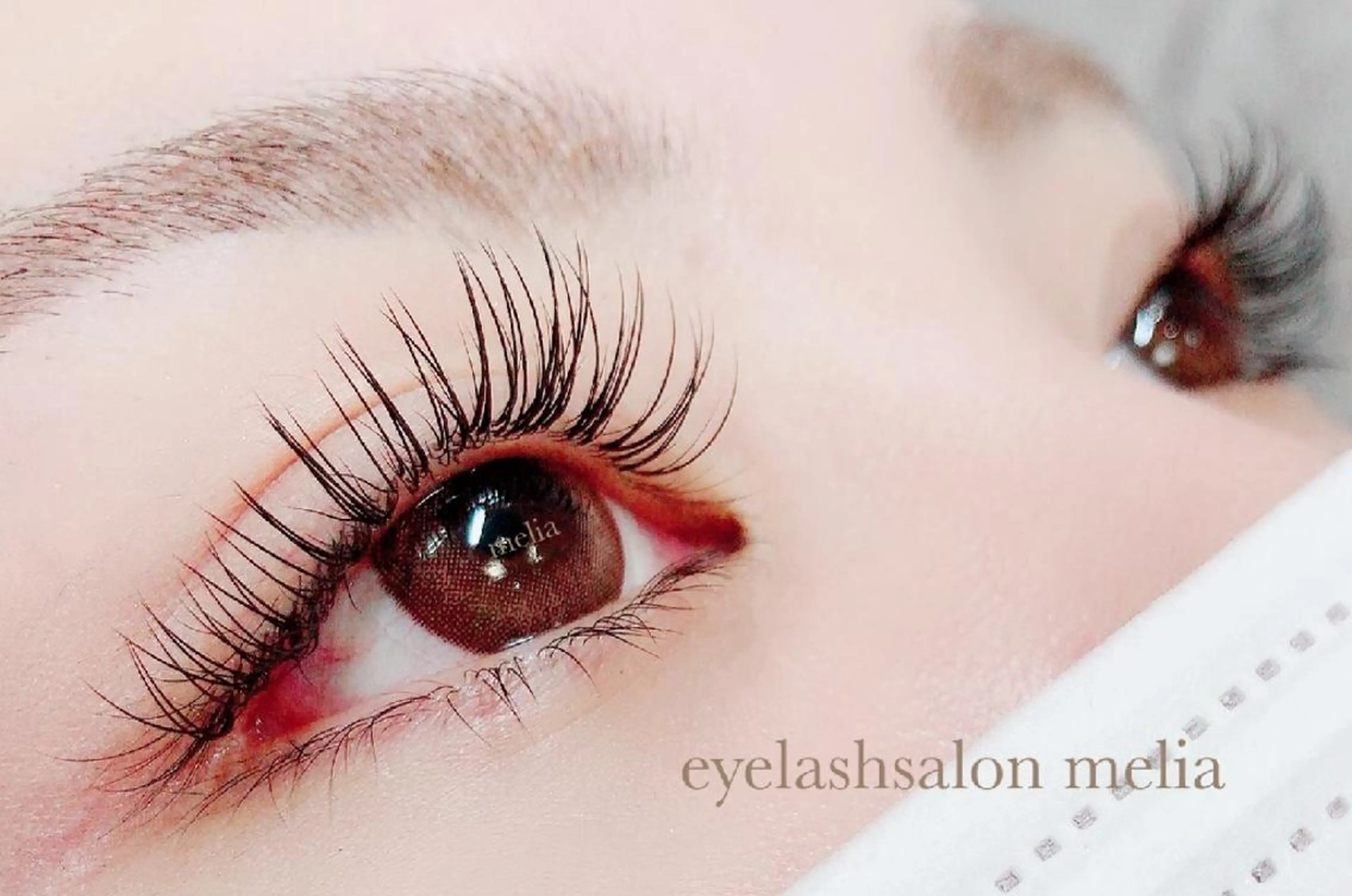 マツエク・マツパ Dカール eyelashsalon melia所属・eyelash meliaのマツエク・マツパデザイン